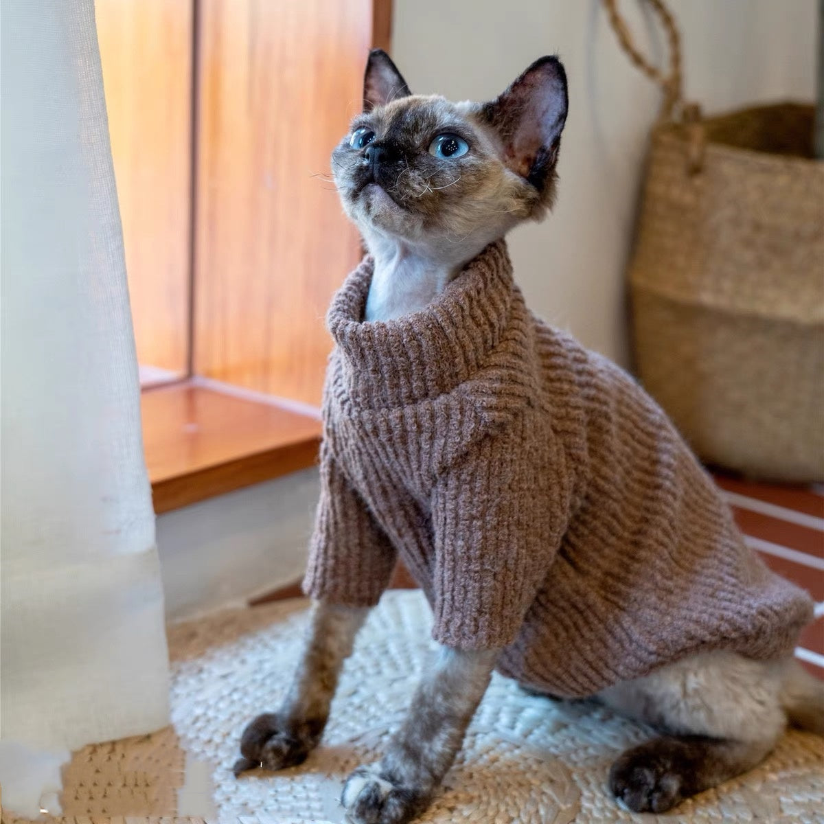 Sphynx Hairless Cats Sweater, Winter Warm Jumper for Bambino Devon Rex Sphynx Cat