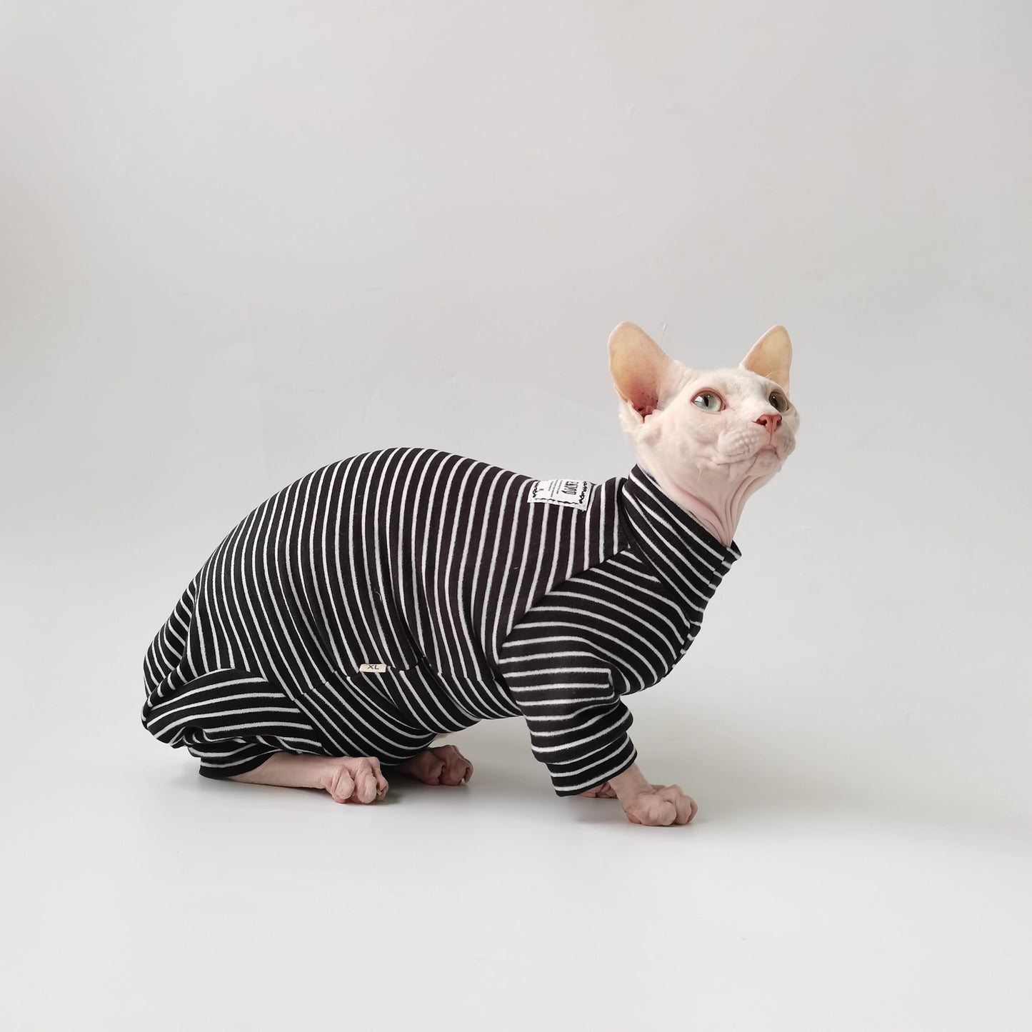 Halloween Sphynx Hairless Cats Clothes, Warm Kitten Sweatshirt in Winter,  Bambino Devon Rex Sphynx Cat Jumper