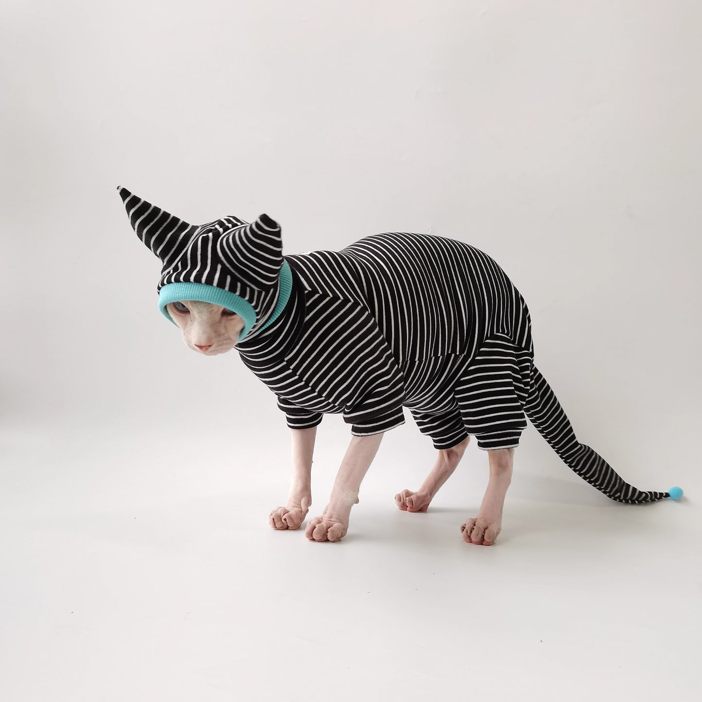 Halloween Sphynx Hairless Cats Clothes, Warm Kitten Sweatshirt in Winter,  Bambino Devon Rex Sphynx Cat Jumper