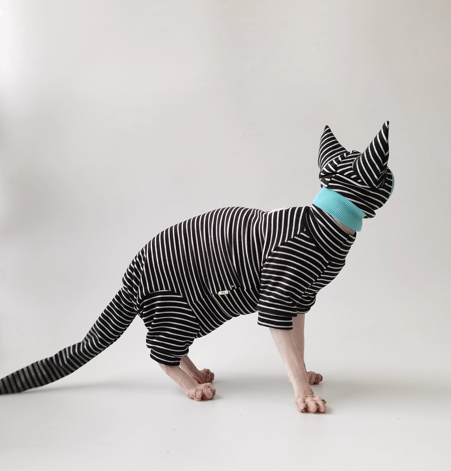 Halloween Sphynx Hairless Cats Clothes, Warm Kitten Sweatshirt in Winter,  Bambino Devon Rex Sphynx Cat Jumper