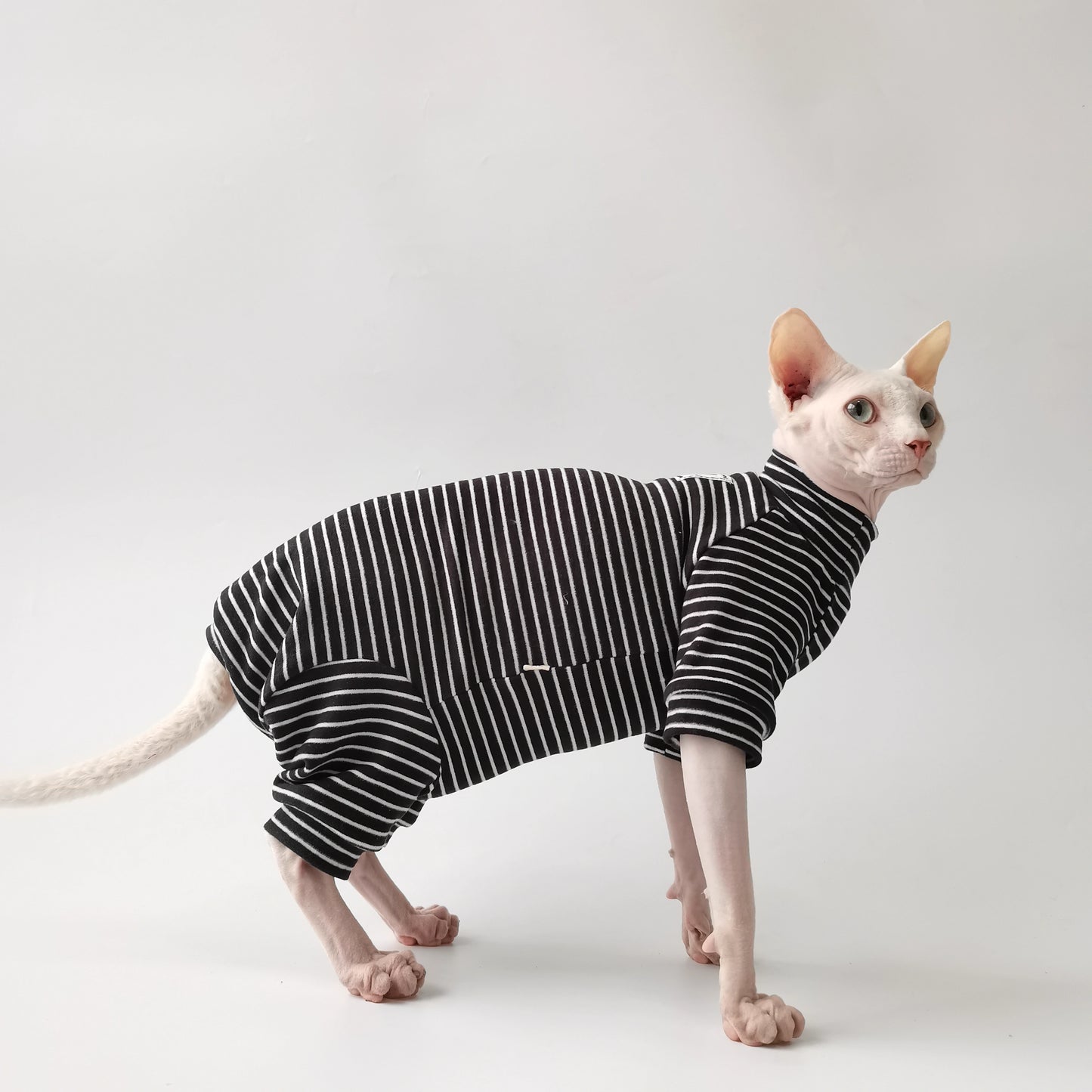 Halloween Sphynx Hairless Cats Clothes, Warm Kitten Sweatshirt in Winter,  Bambino Devon Rex Sphynx Cat Jumper