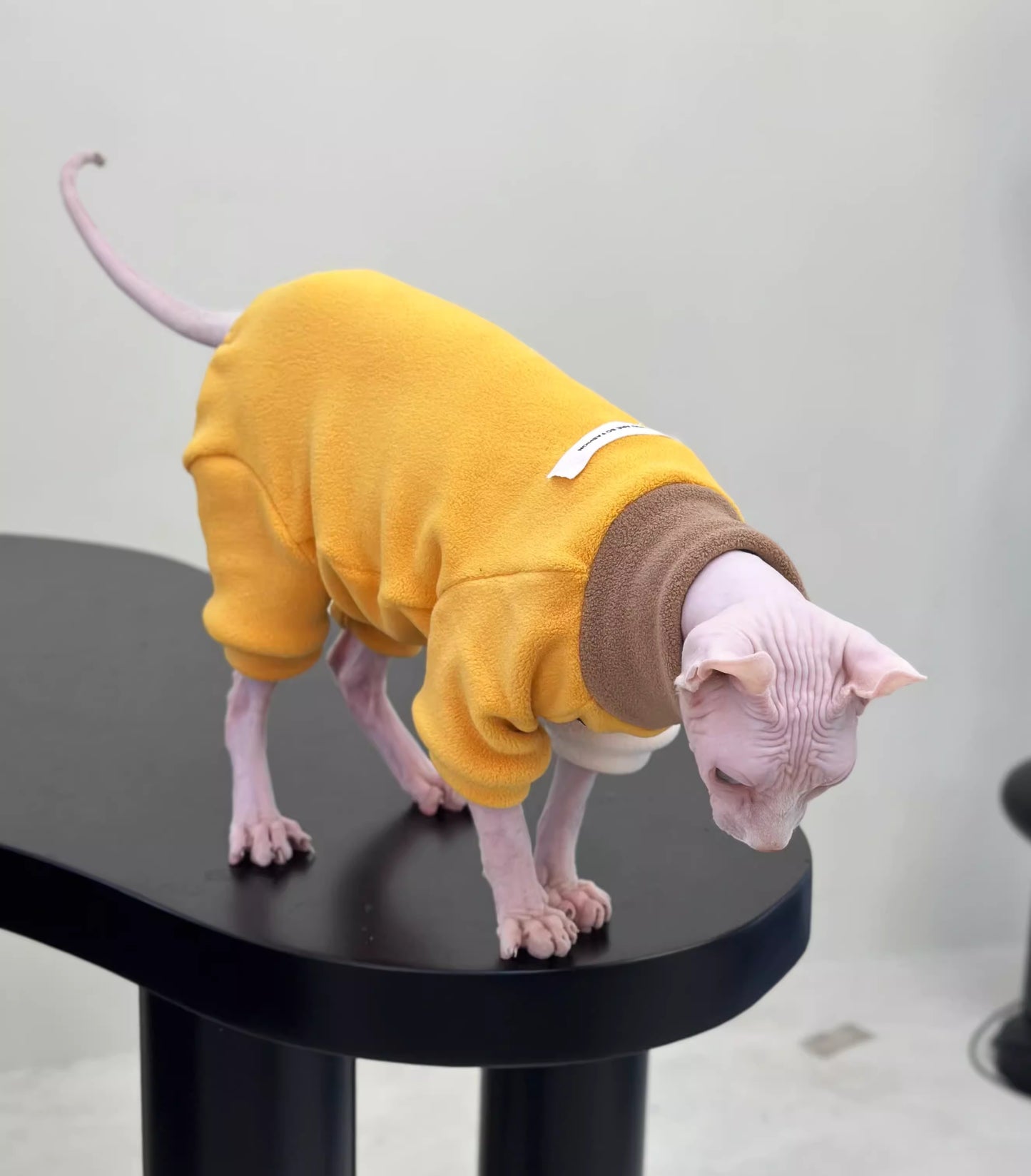 2/4-legged 3 colors Sphynx Hairless Cats Clothes, Winter Warm Sweatshirt for Bambino, Devon Rex Sphynx Cat Jumper Fleece Jacket