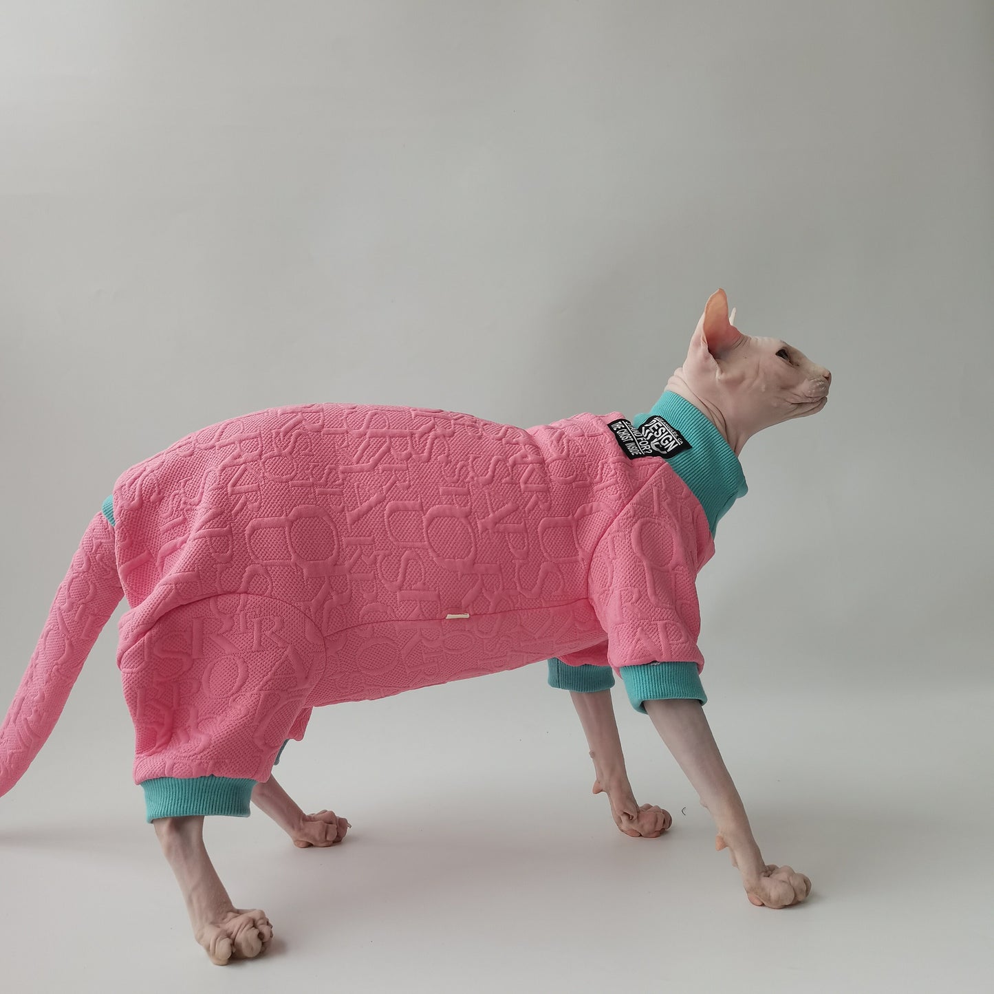 Sphynx Hairless Cats Clothes, Warm Kitten Sweatshirt in Winter,  Bambino Devon Rex Sphynx Cat Jumper