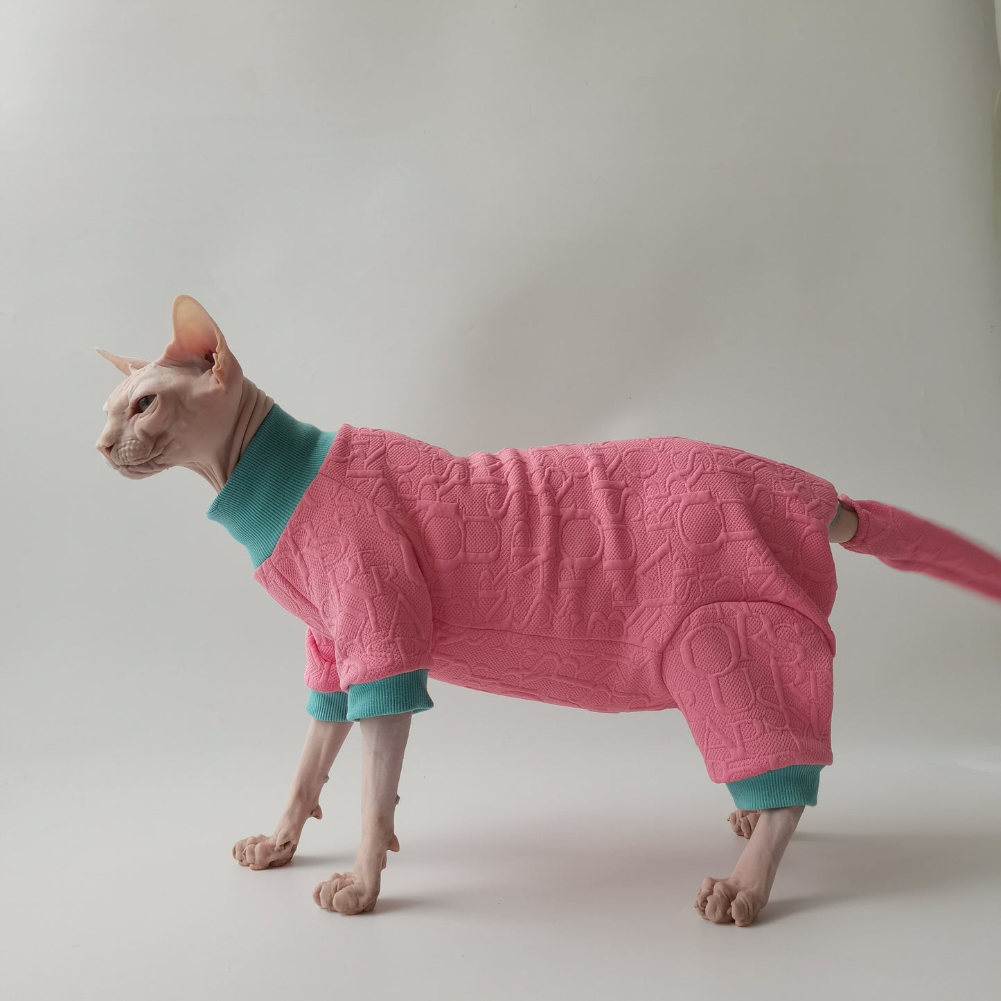 Sphynx Hairless Cats Clothes, Warm Kitten Sweatshirt in Winter,  Bambino Devon Rex Sphynx Cat Jumper