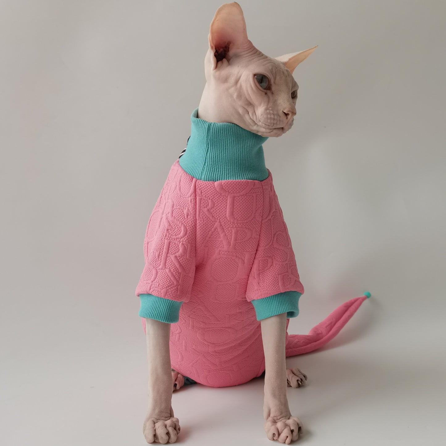 Sphynx Hairless Cats Clothes, Warm Kitten Sweatshirt in Winter,  Bambino Devon Rex Sphynx Cat Jumper