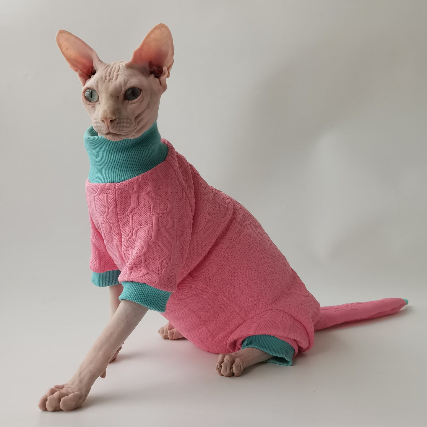 Sphynx Hairless Cats Clothes, Warm Kitten Sweatshirt in Winter,  Bambino Devon Rex Sphynx Cat Jumper