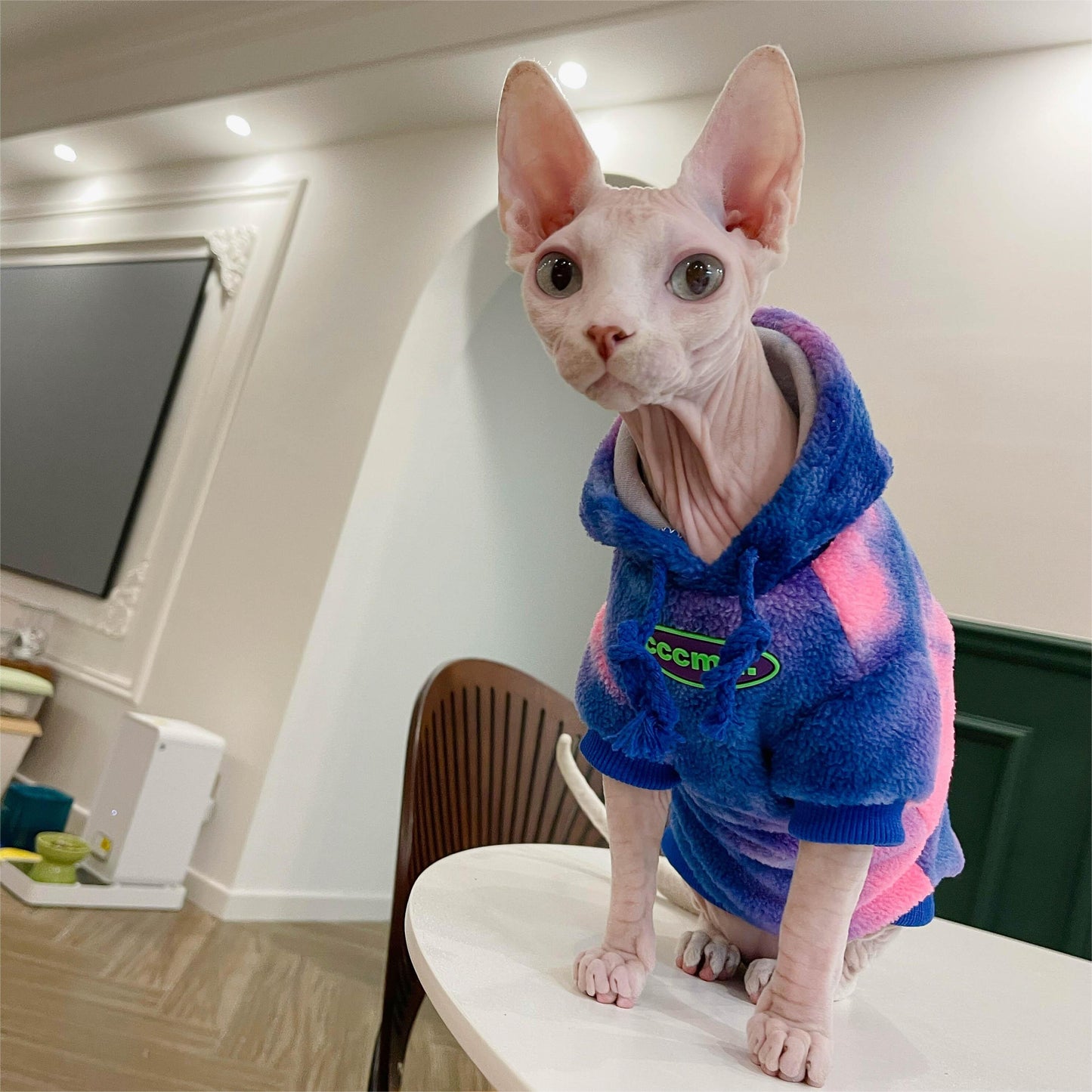 2/4-legged 2 colors Sphynx Hairless Cats Clothes, Winter Warm Hoodie for Bambino, Devon Rex Sphynx Cat Jumper Fleece Jacket