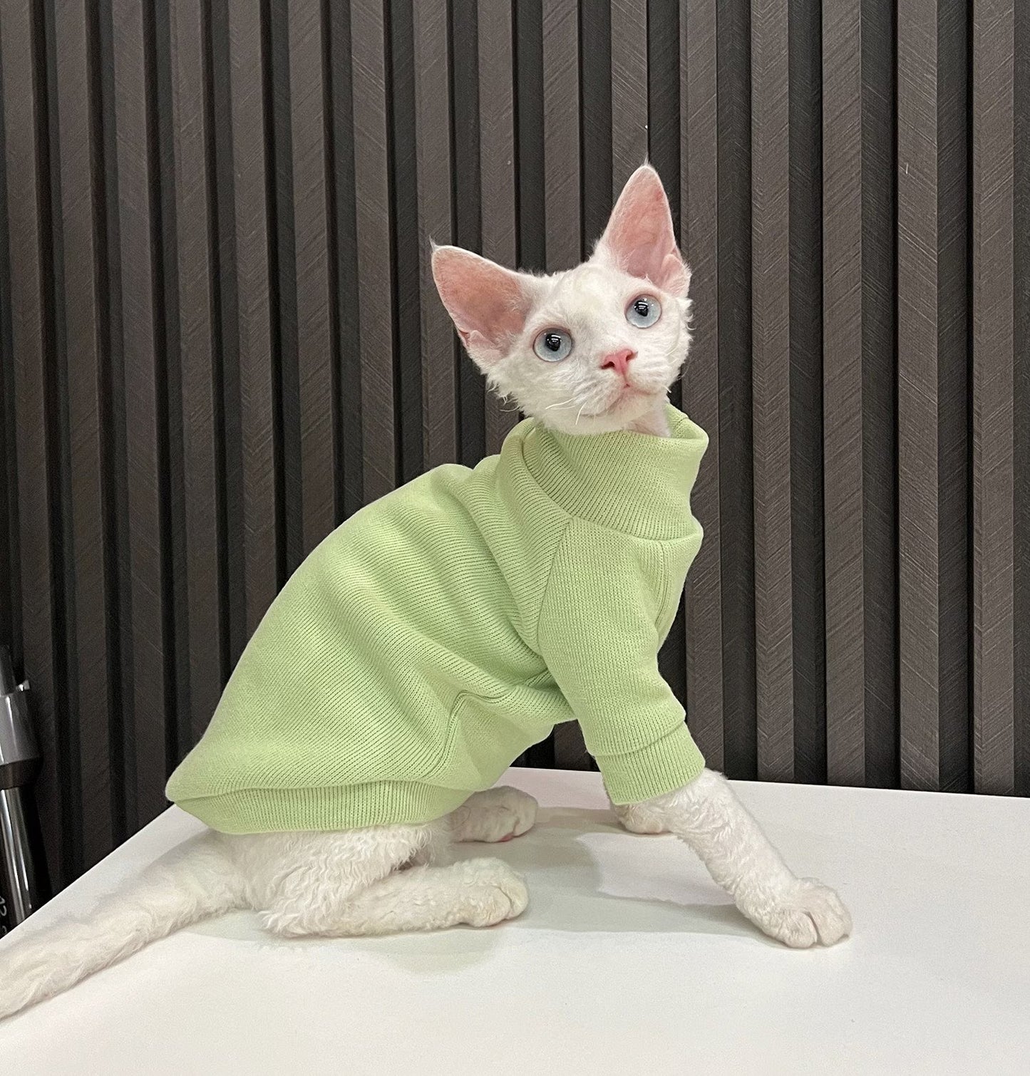 5 Colors Sphynx Hairless Cats Clothes, Fleece Warm Kitten Sweater in Winter, Bambino Devon Rex Sphynx Cat Turtleneck Soft Clothing