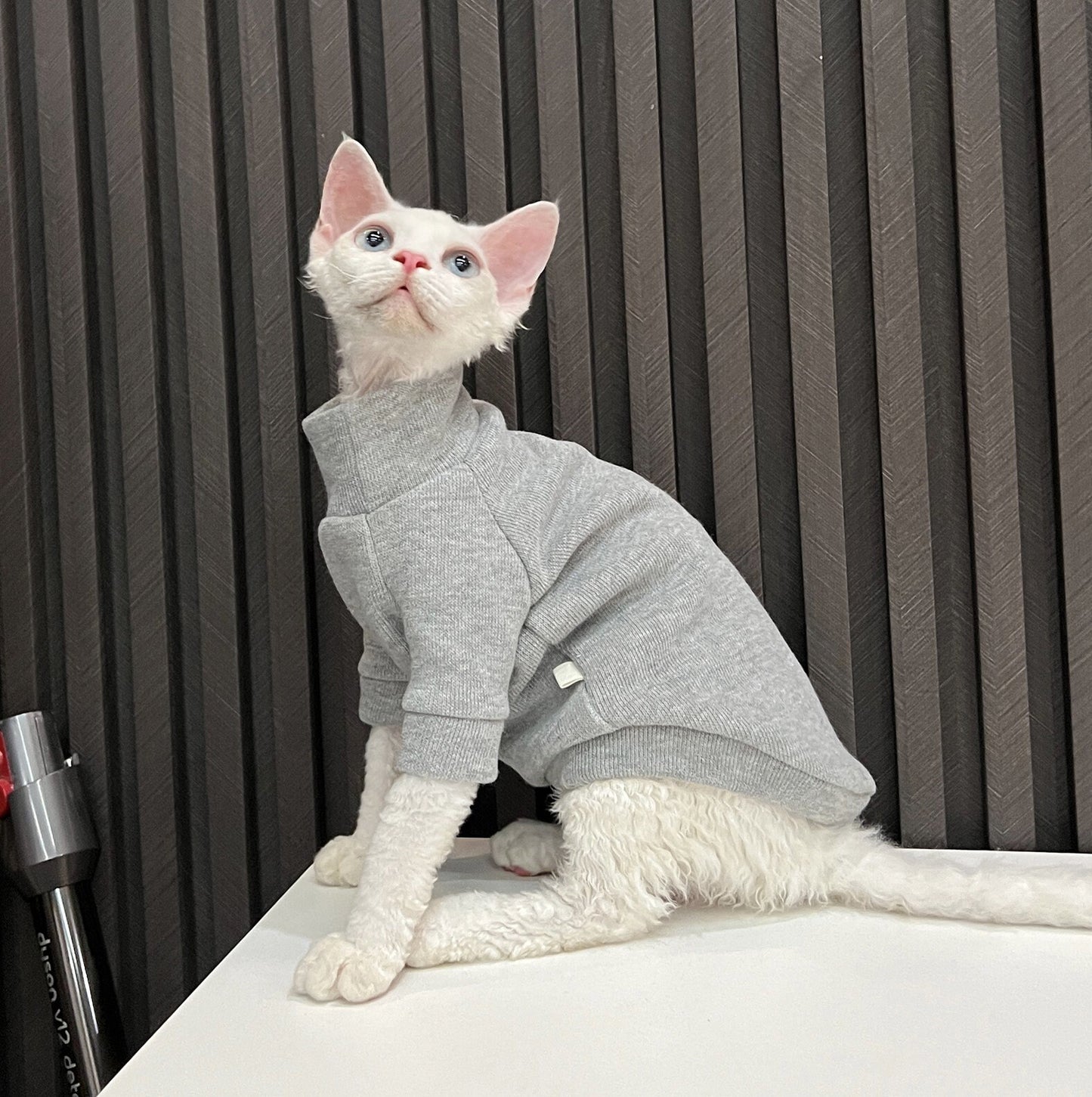 5 Colors Sphynx Hairless Cats Clothes, Fleece Warm Kitten Sweater in Winter, Bambino Devon Rex Sphynx Cat Turtleneck Soft Clothing