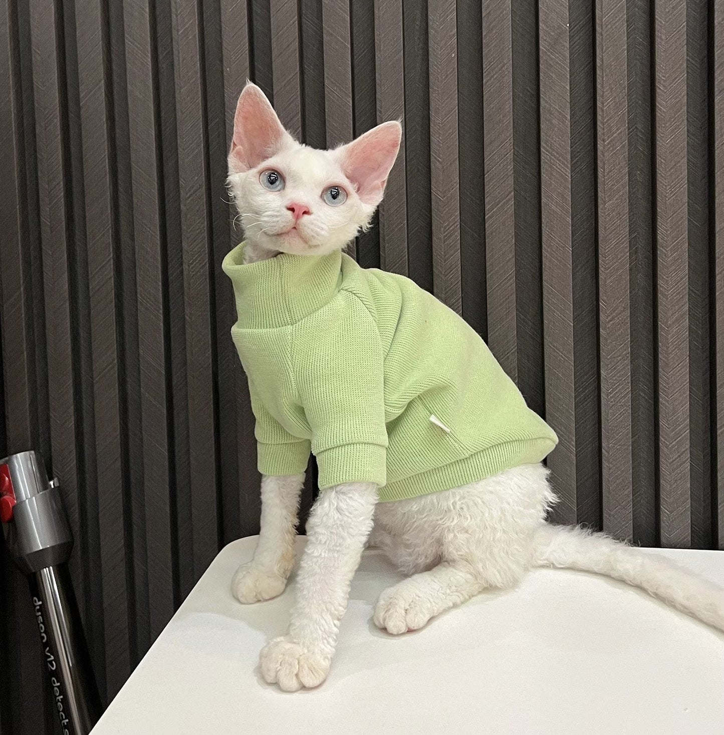 5 Colors Sphynx Hairless Cats Clothes, Fleece Warm Kitten Sweater in Winter, Bambino Devon Rex Sphynx Cat Turtleneck Soft Clothing