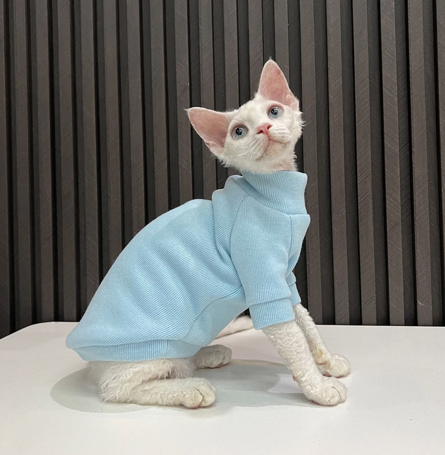 5 Colors Sphynx Hairless Cats Clothes, Fleece Warm Kitten Sweater in Winter, Bambino Devon Rex Sphynx Cat Turtleneck Soft Clothing