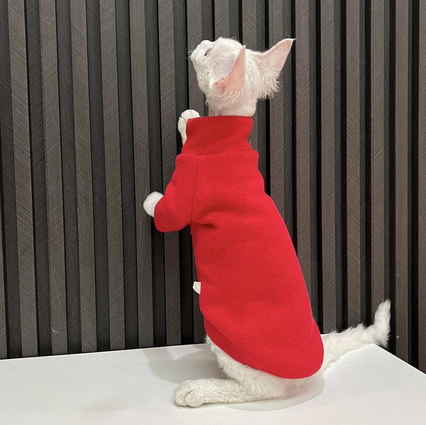 5 Colors Sphynx Hairless Cats Clothes, Fleece Warm Kitten Sweater in Winter, Bambino Devon Rex Sphynx Cat Turtleneck Soft Clothing