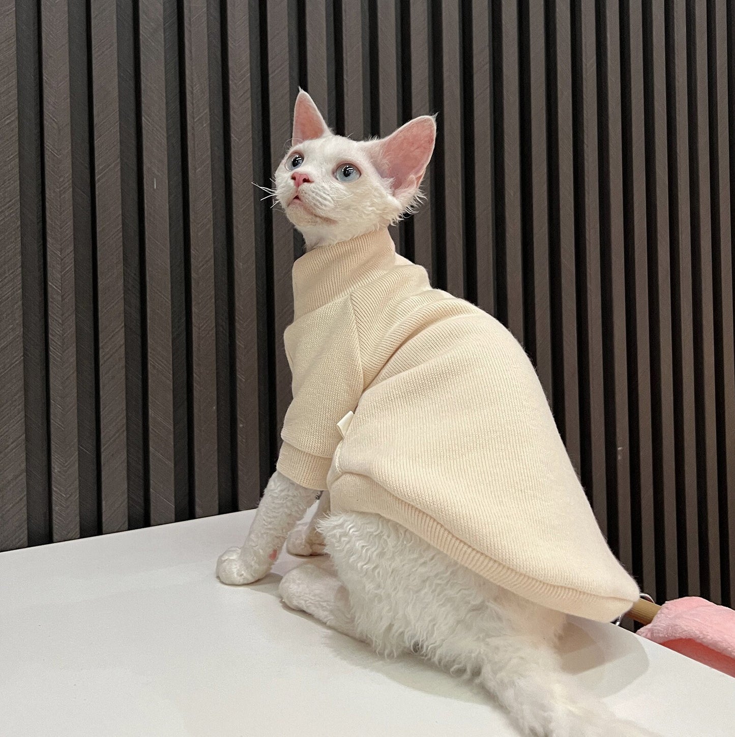 5 Colors Sphynx Hairless Cats Clothes, Fleece Warm Kitten Sweater in Winter, Bambino Devon Rex Sphynx Cat Turtleneck Soft Clothing