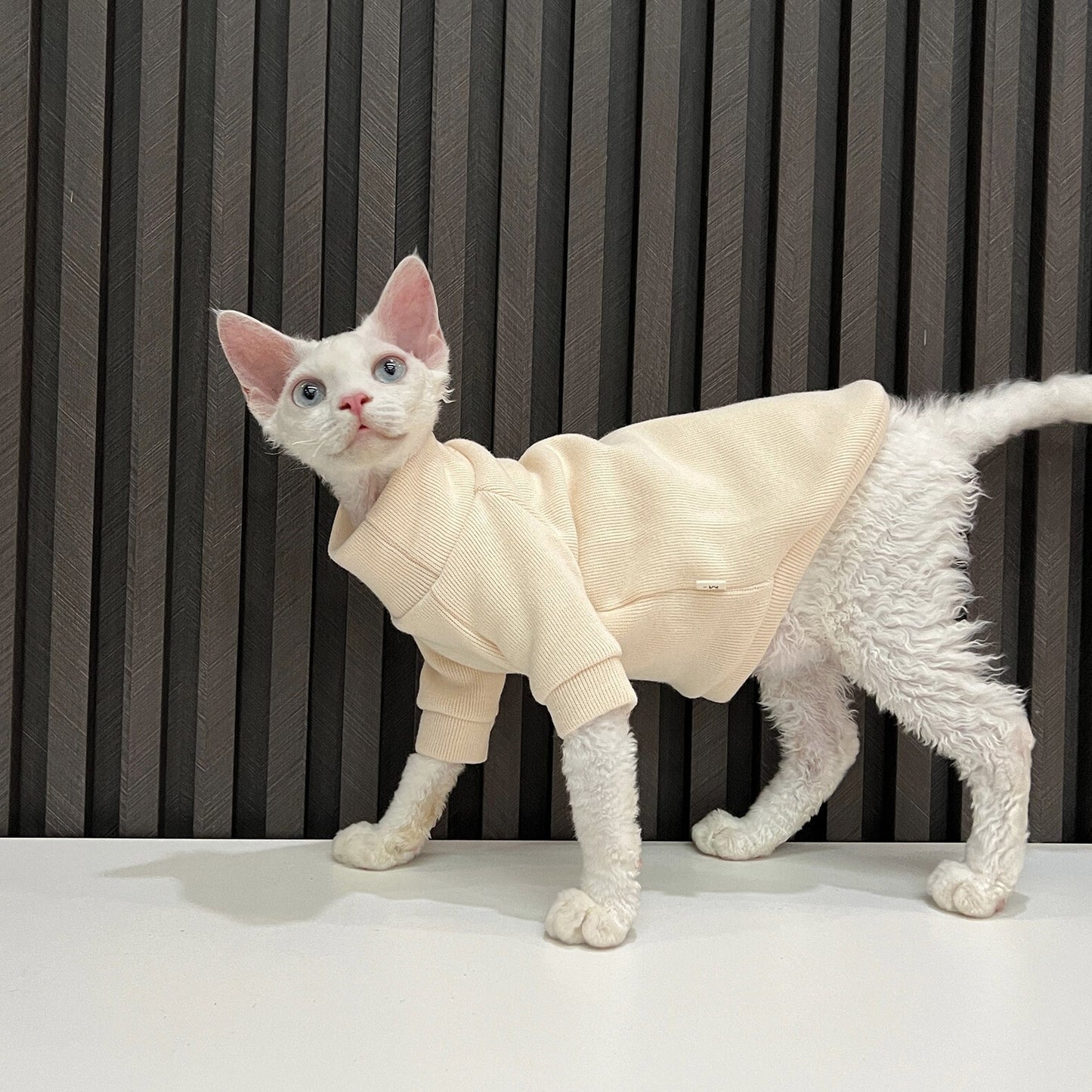 5 Colors Sphynx Hairless Cats Clothes, Fleece Warm Kitten Sweater in Winter, Bambino Devon Rex Sphynx Cat Turtleneck Soft Clothing