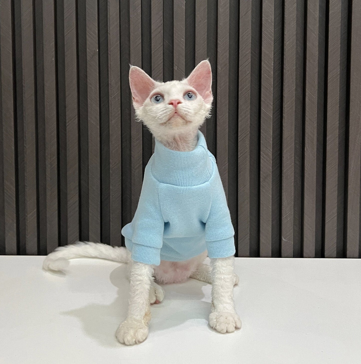 5 Colors Sphynx Hairless Cats Clothes, Fleece Warm Kitten Sweater in Winter, Bambino Devon Rex Sphynx Cat Turtleneck Soft Clothing