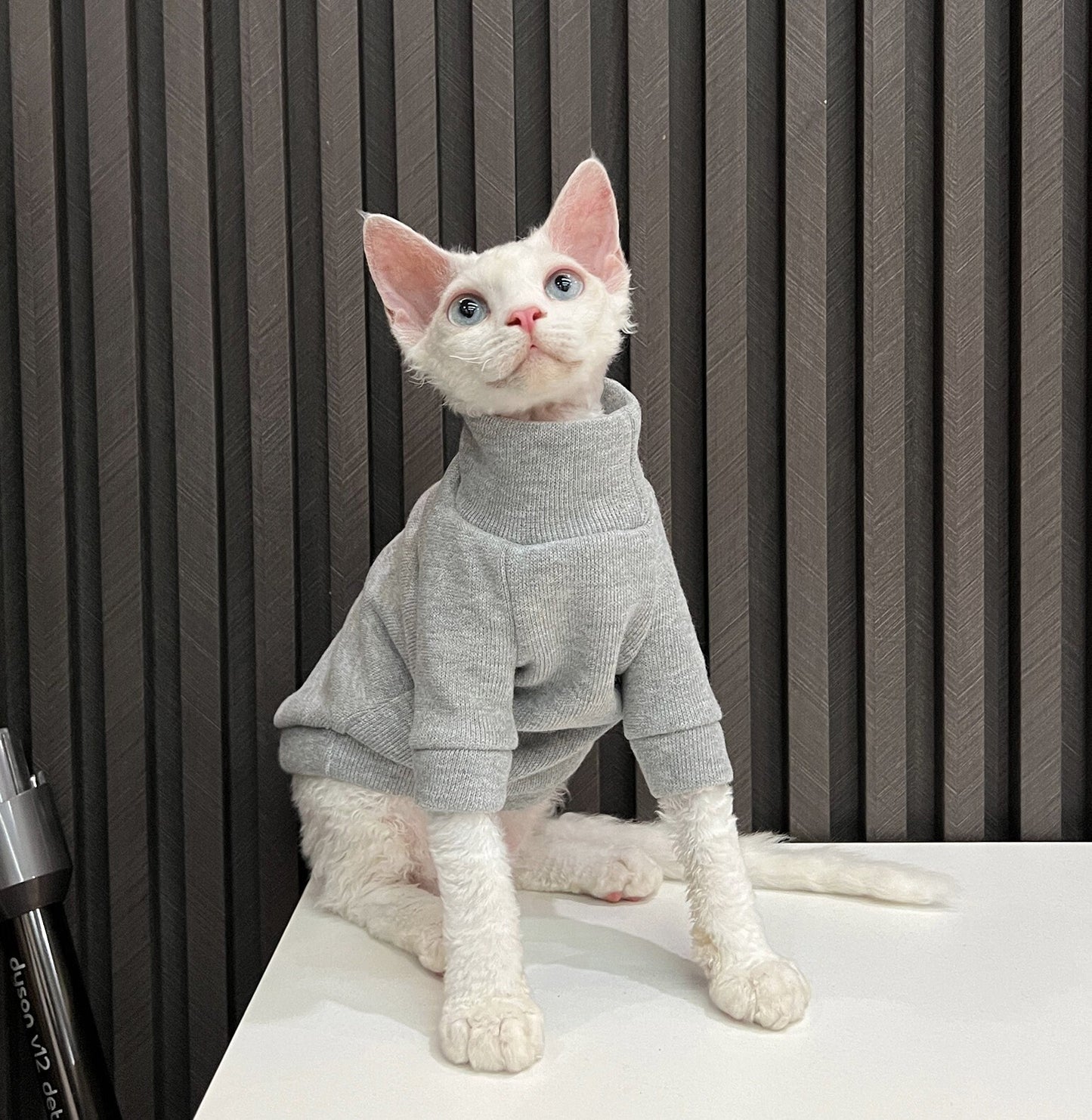 5 Colors Sphynx Hairless Cats Clothes, Fleece Warm Kitten Sweater in Winter, Bambino Devon Rex Sphynx Cat Turtleneck Soft Clothing