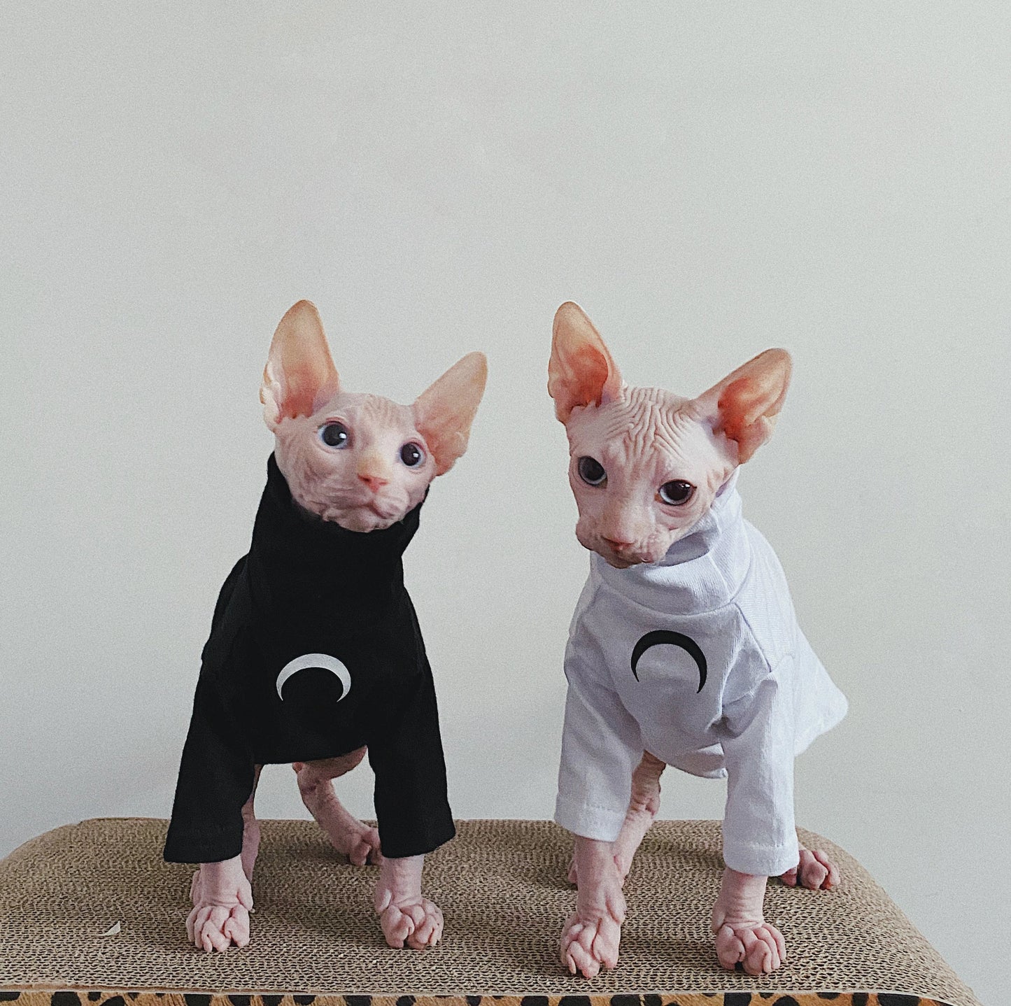 Sphynx Hairless Cats Clothes, Super Soft Kitten Pullover Sweatshirt, Bambino Devon Rex Sphynx Cat Clothing