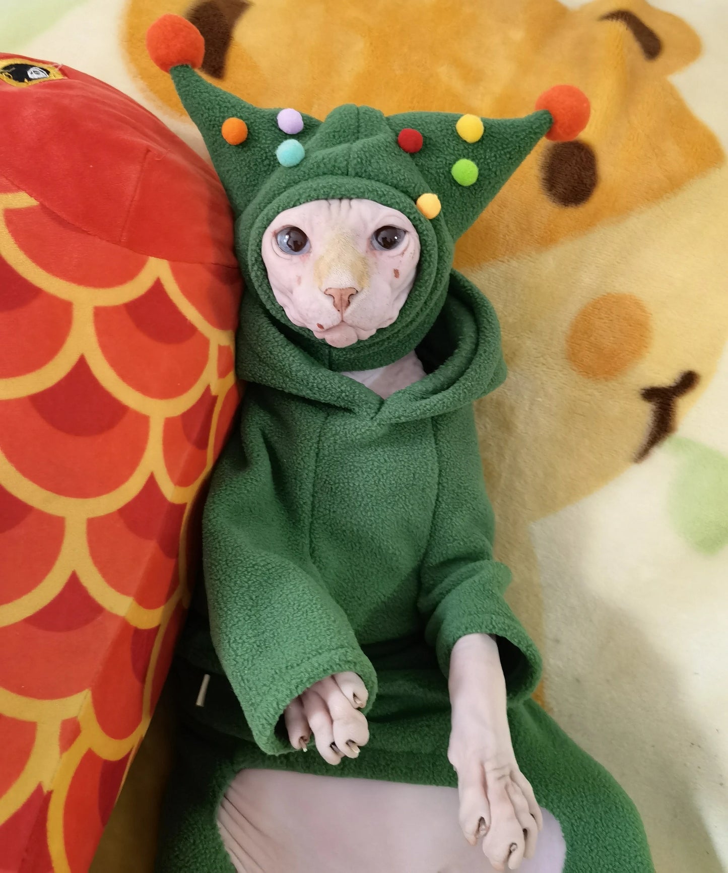 12 Colors Sphynx Hairless Cats Hat, Warm Kitten Bambino Devon Rex Sphynx Cat Hat