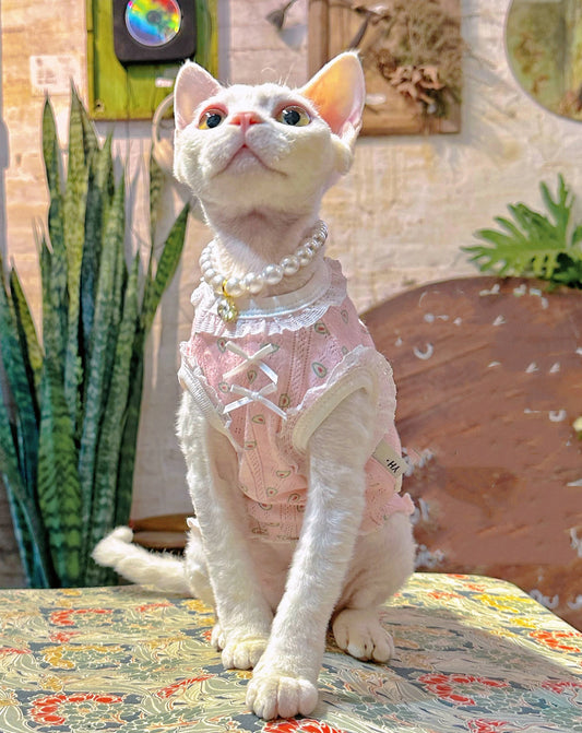 Pink Sphynx Hairless Cats Clothes and Necklace, Summer Kitten Sleeveless Sphynx dress, Bambino Devon Rex Sphynx Cat Clothing