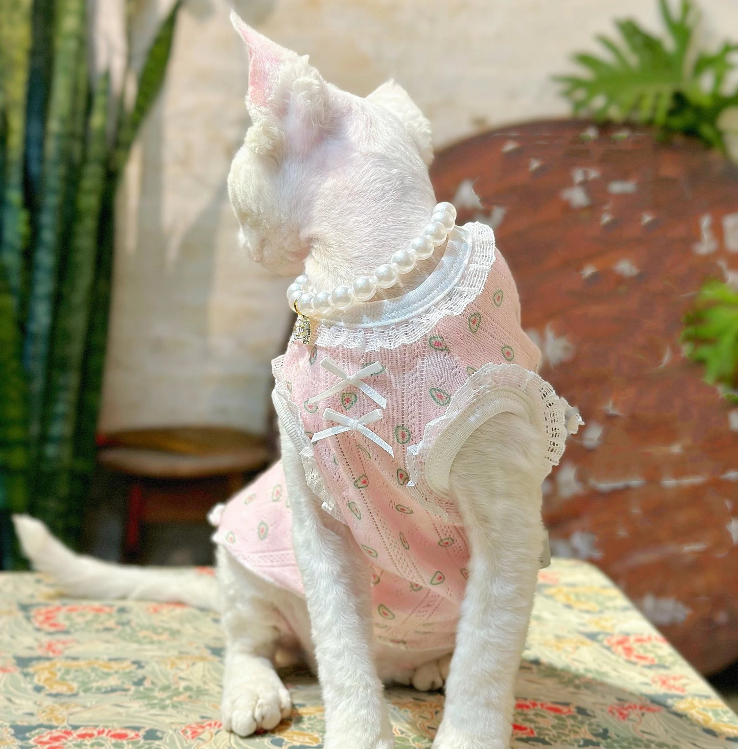 Pink Sphynx Hairless Cats Clothes and Necklace, Summer Kitten Sleeveless Sphynx dress, Bambino Devon Rex Sphynx Cat Clothing