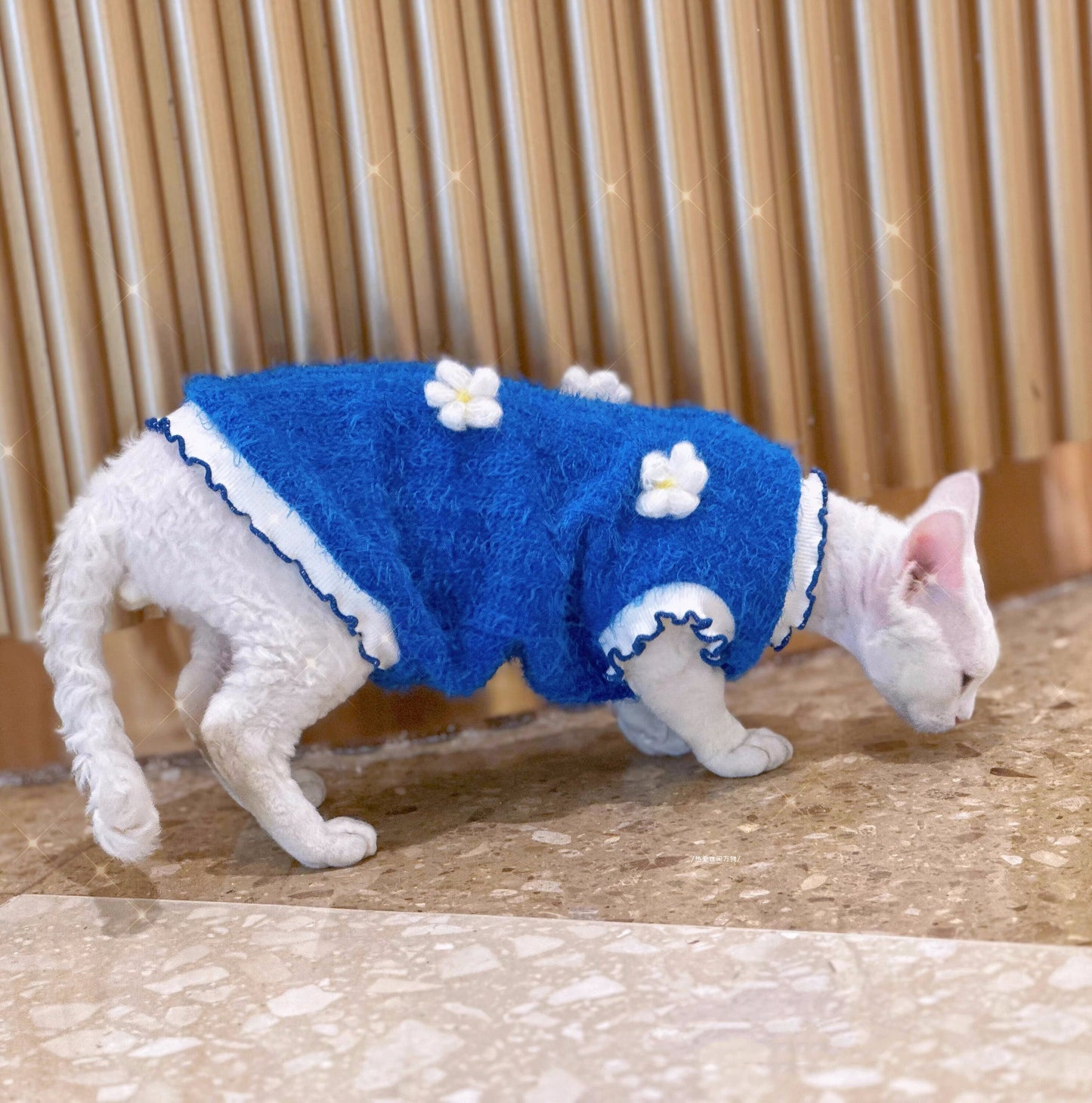 Blue Sphynx Hairless Cats Clothes, Winter Warm Kitten Sphynx Flower Sweater, Bambino Devon Rex Sphynx Cat Clothing