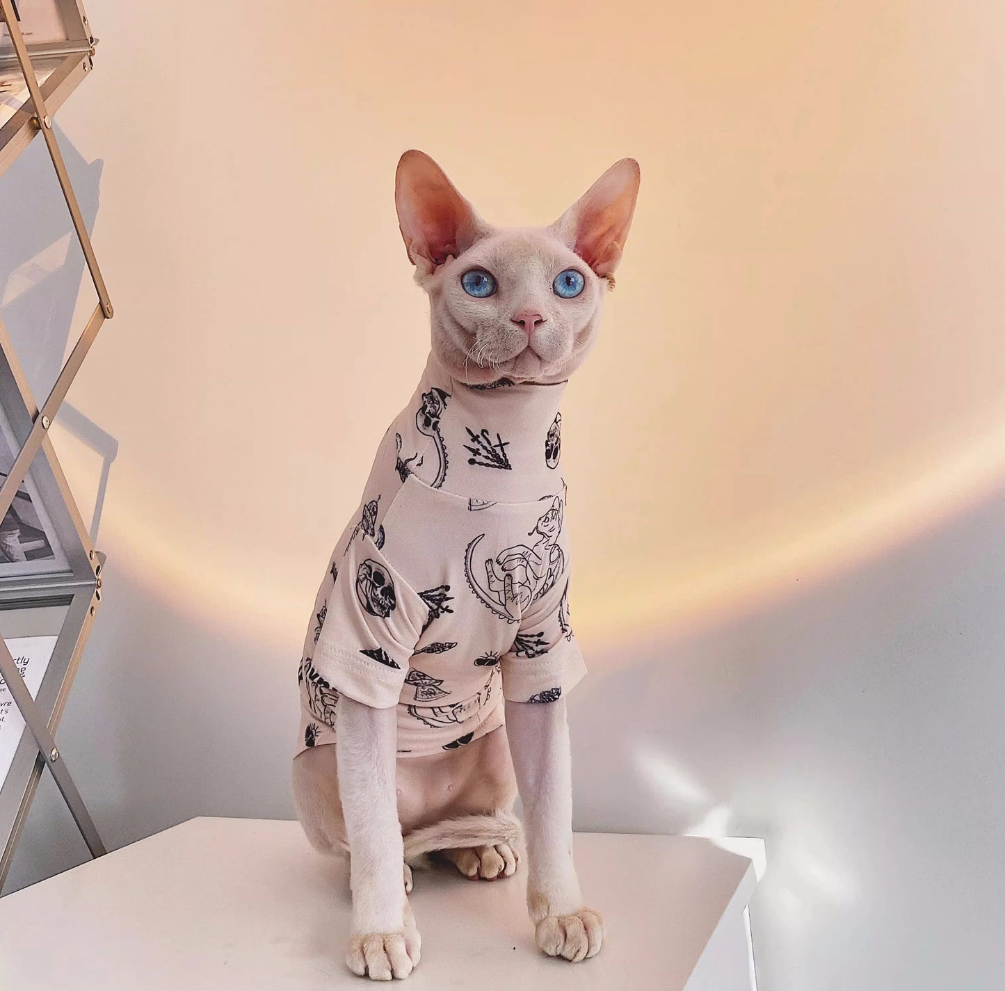 Sphynx Hairless Cats Tattooing Clothes, Kitten Pullover Sweatshirt Underwear, Bambino Devon Rex Sphynx Cat Clothing