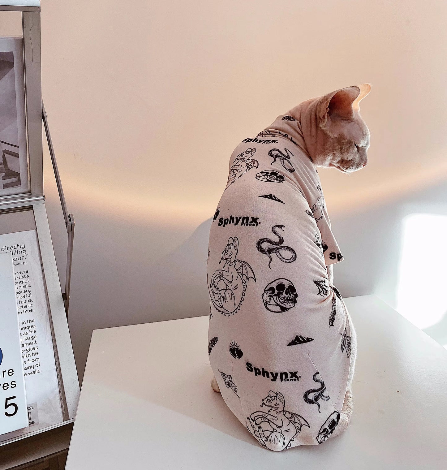 Sphynx Hairless Cats Tattooing Clothes, Kitten Pullover Sweatshirt Underwear, Bambino Devon Rex Sphynx Cat Clothing