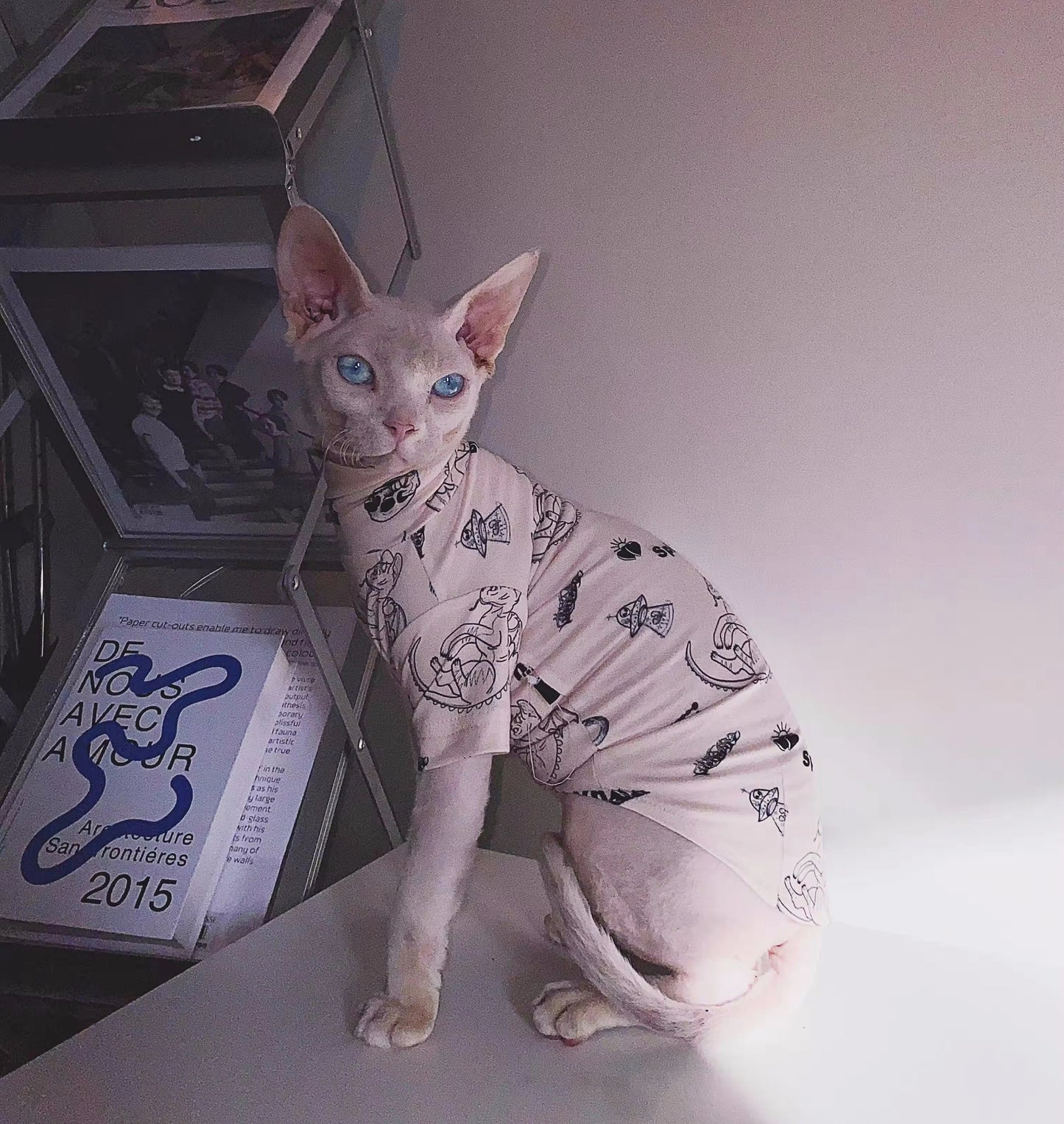 Sphynx Hairless Cats Tattooing Clothes, Kitten Pullover Sweatshirt Underwear, Bambino Devon Rex Sphynx Cat Clothing