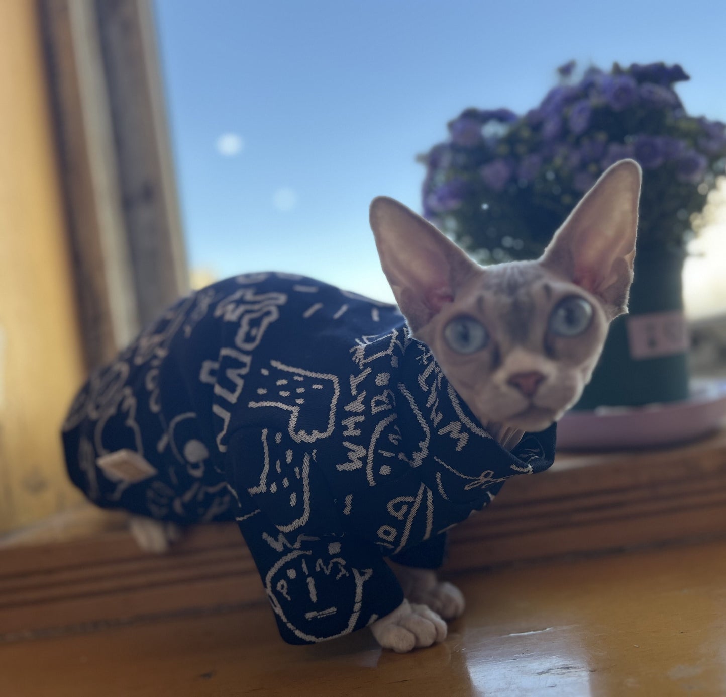 Lovely Graffiti Sphynx Hairless Cats Clothes, Cute Printing Bambino Devon Rex Sphynx Cat Clothing