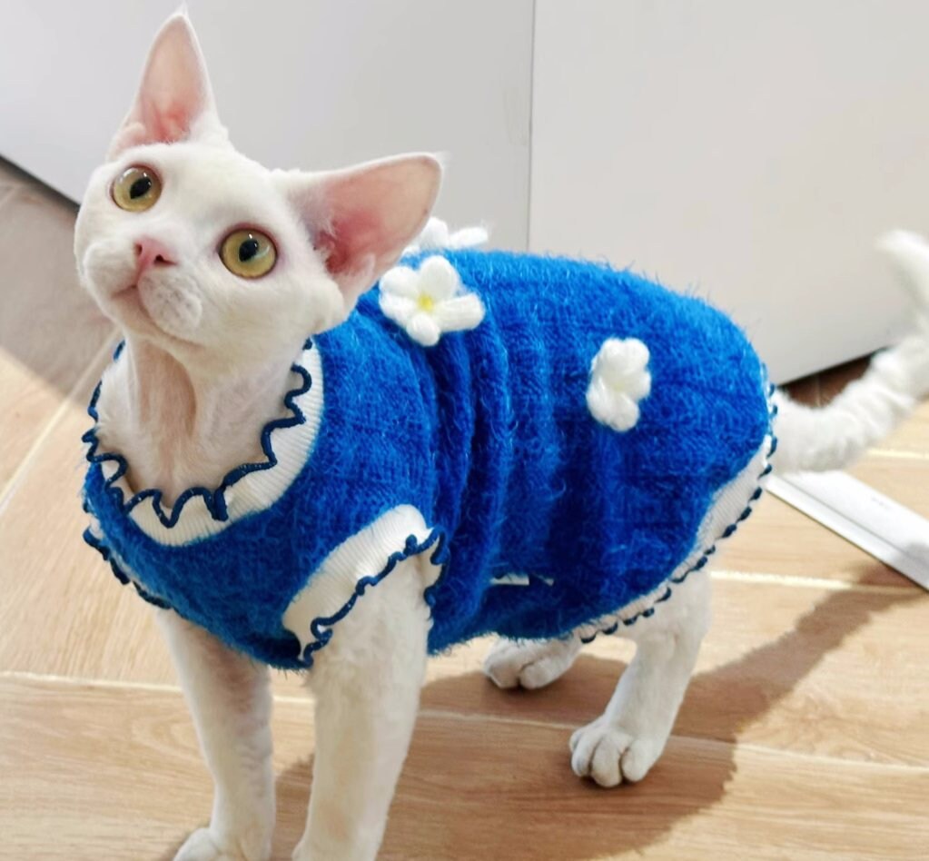 Blue Sphynx Hairless Cats Clothes, Winter Warm Kitten Sphynx Flower Sweater, Bambino Devon Rex Sphynx Cat Clothing