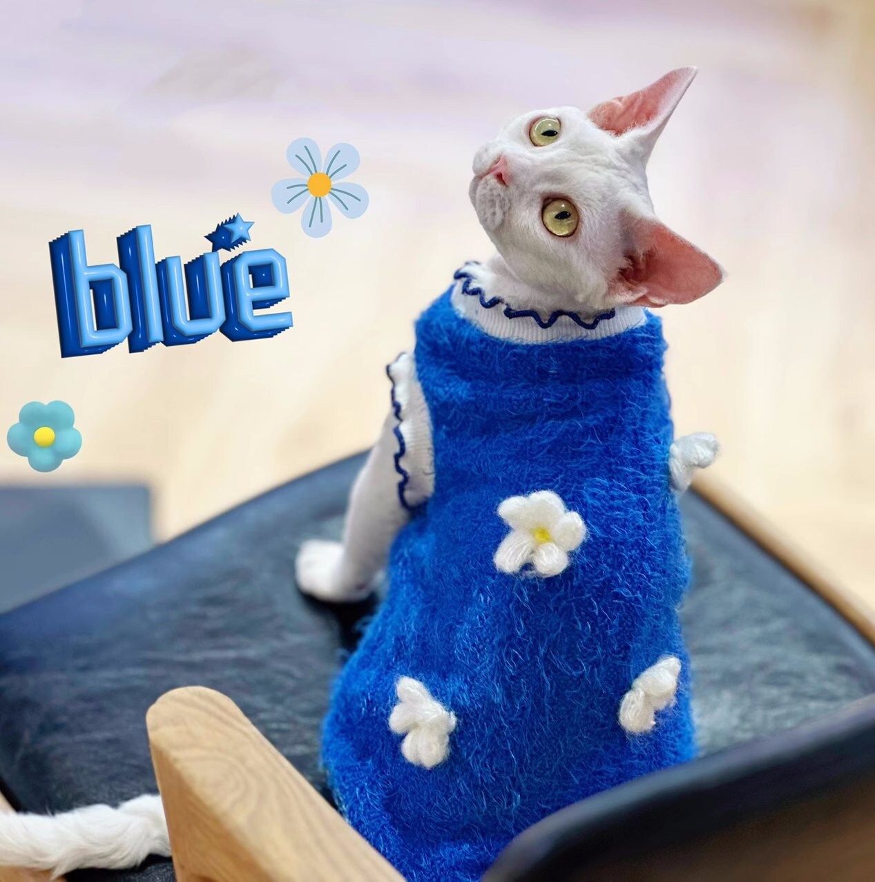 Blue Sphynx Hairless Cats Clothes, Winter Warm Kitten Sphynx Flower Sweater, Bambino Devon Rex Sphynx Cat Clothing