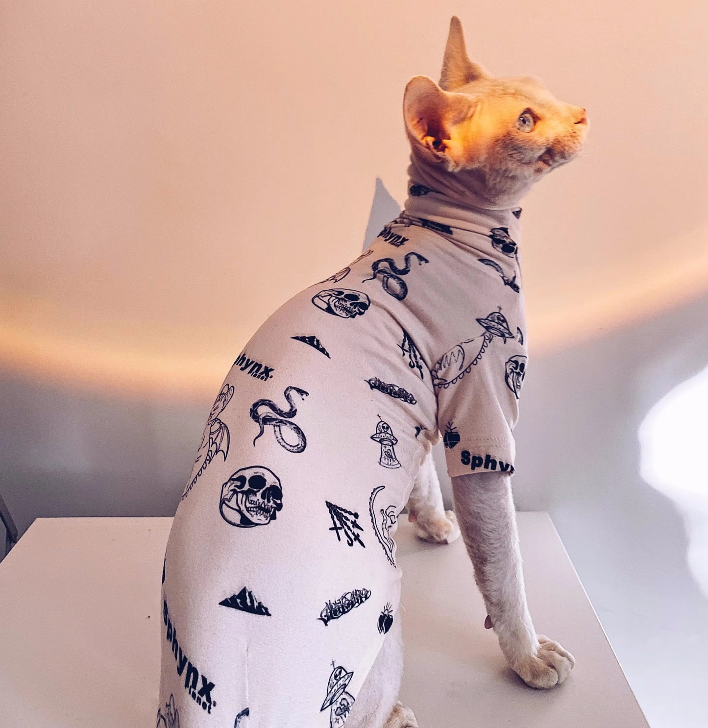 Sphynx Hairless Cats Tattooing Clothes, Kitten Pullover Sweatshirt Underwear, Bambino Devon Rex Sphynx Cat Clothing