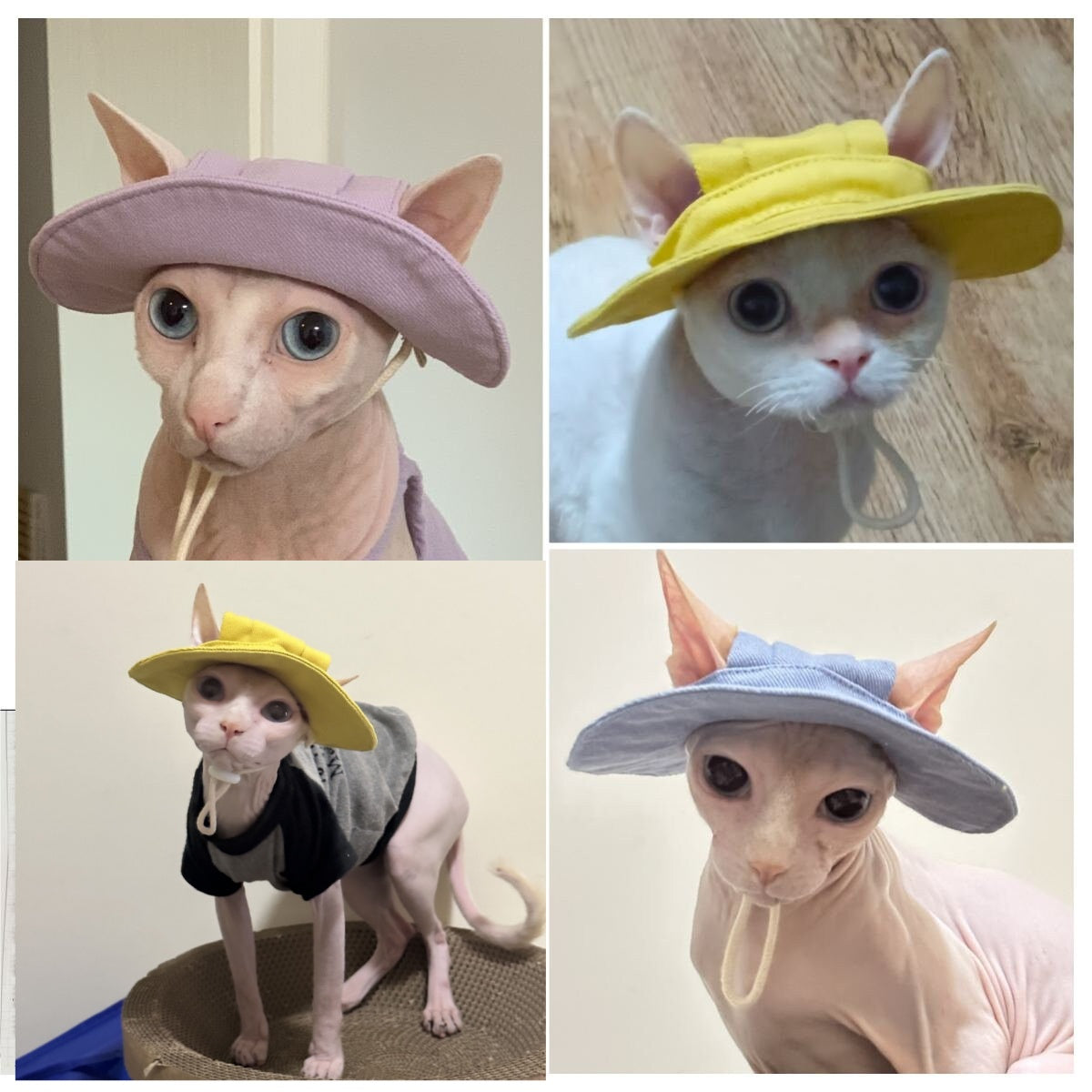 Sphynx Hairless Cats Bucket Hat with Ear Holes, Summer Sunbonnet Cap, Bambino Devon Rex Sphynx Cat Sun Caps