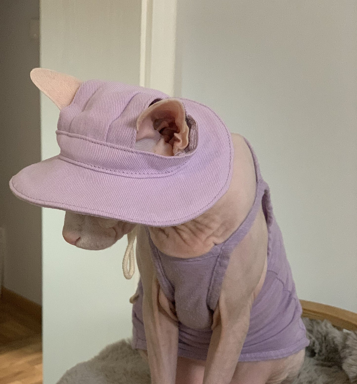 Sphynx Hairless Cats Bucket Hat with Ear Holes, Summer Sunbonnet Cap, Bambino Devon Rex Sphynx Cat Sun Caps