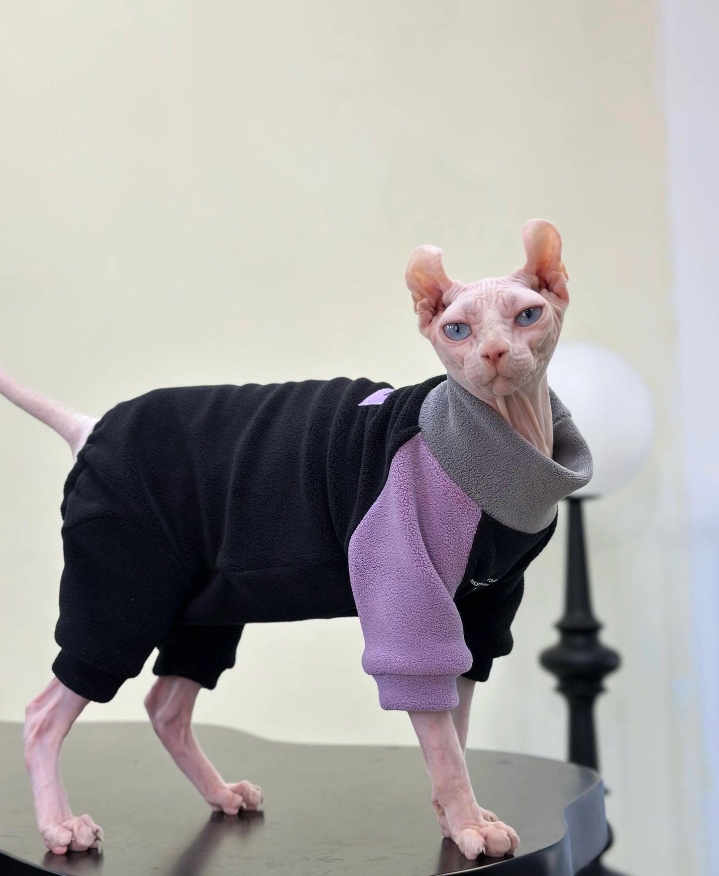 2/4-legged 3 colors Sphynx Hairless Cats Clothes, Winter Warm Sweatshirt for Bambino, Devon Rex Sphynx Cat Jumper Fleece Jacket