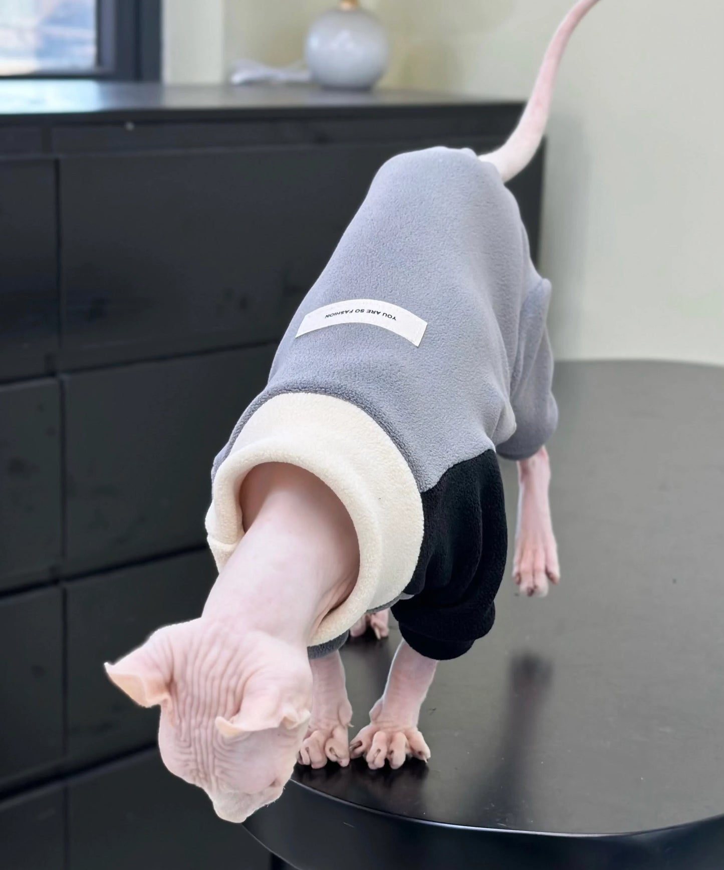 2/4-legged 3 colors Sphynx Hairless Cats Clothes, Winter Warm Sweatshirt for Bambino, Devon Rex Sphynx Cat Jumper Fleece Jacket