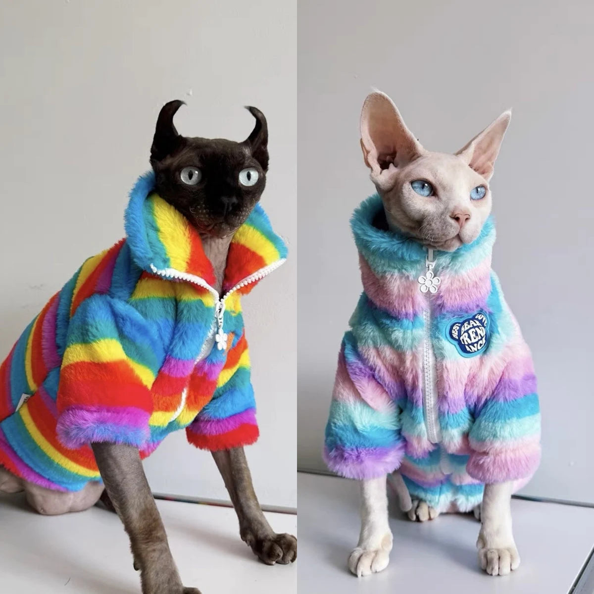 Sphynx Hairless Cats Clothes, Winter Zipper Warm Kitten Coat, Bambino Devon Rex Sphynx Cat Clothing Jacket