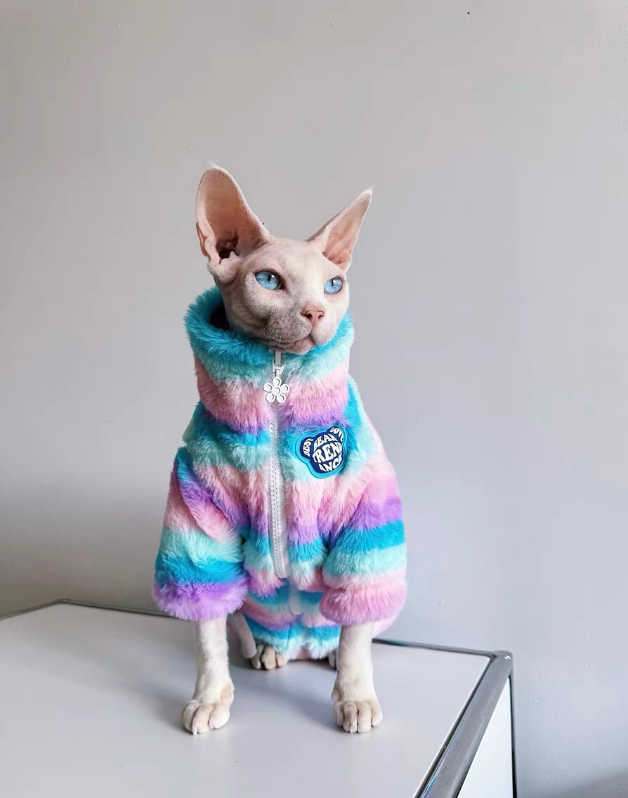 Sphynx Hairless Cats Clothes, Winter Zipper Warm Kitten Coat, Bambino Devon Rex Sphynx Cat Clothing Jacket