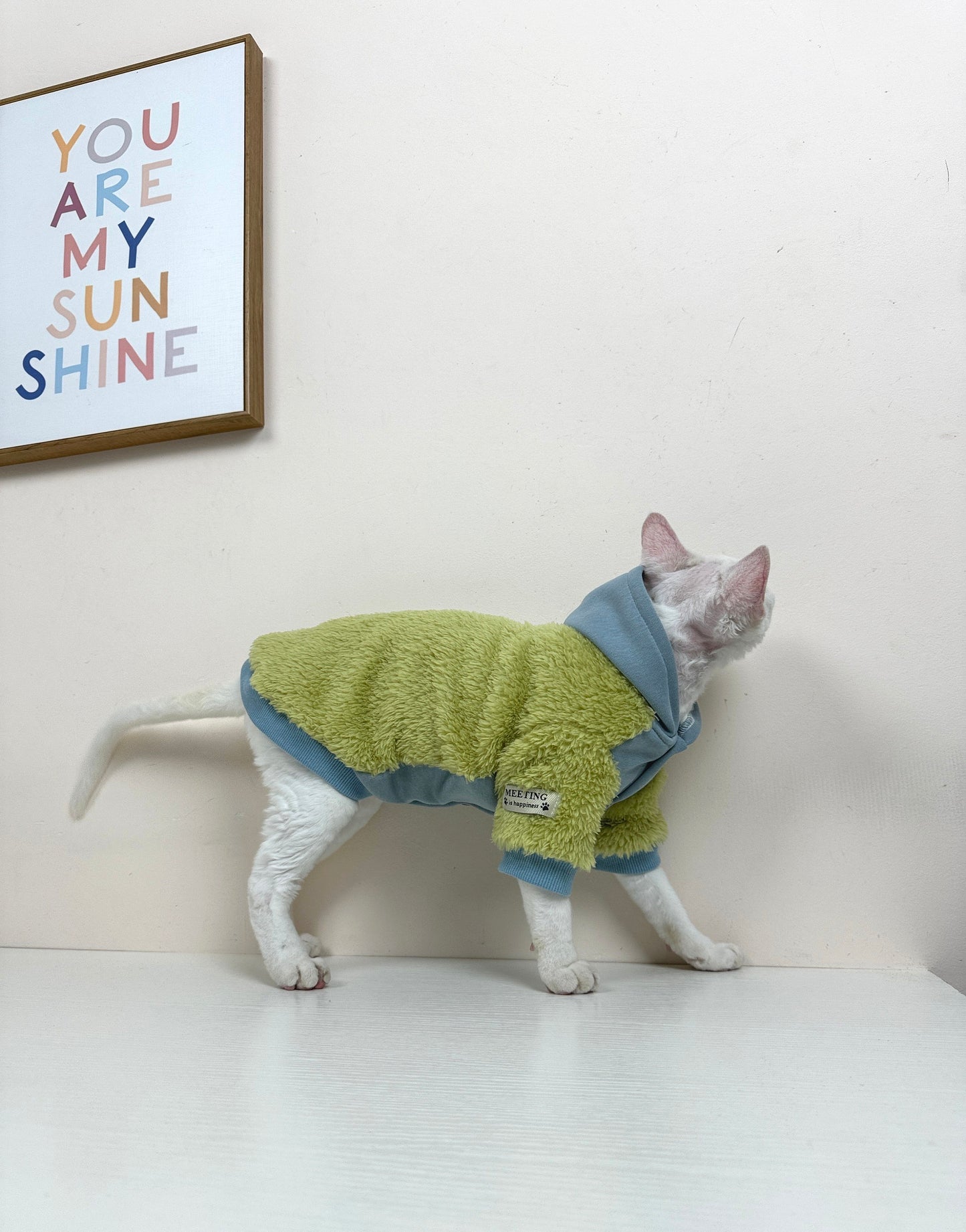 Sphynx Sweatshirt Coat with Button, Warm and Soft Sphynx Cat Clothes For Bambino Devon Rex Hairless Cat