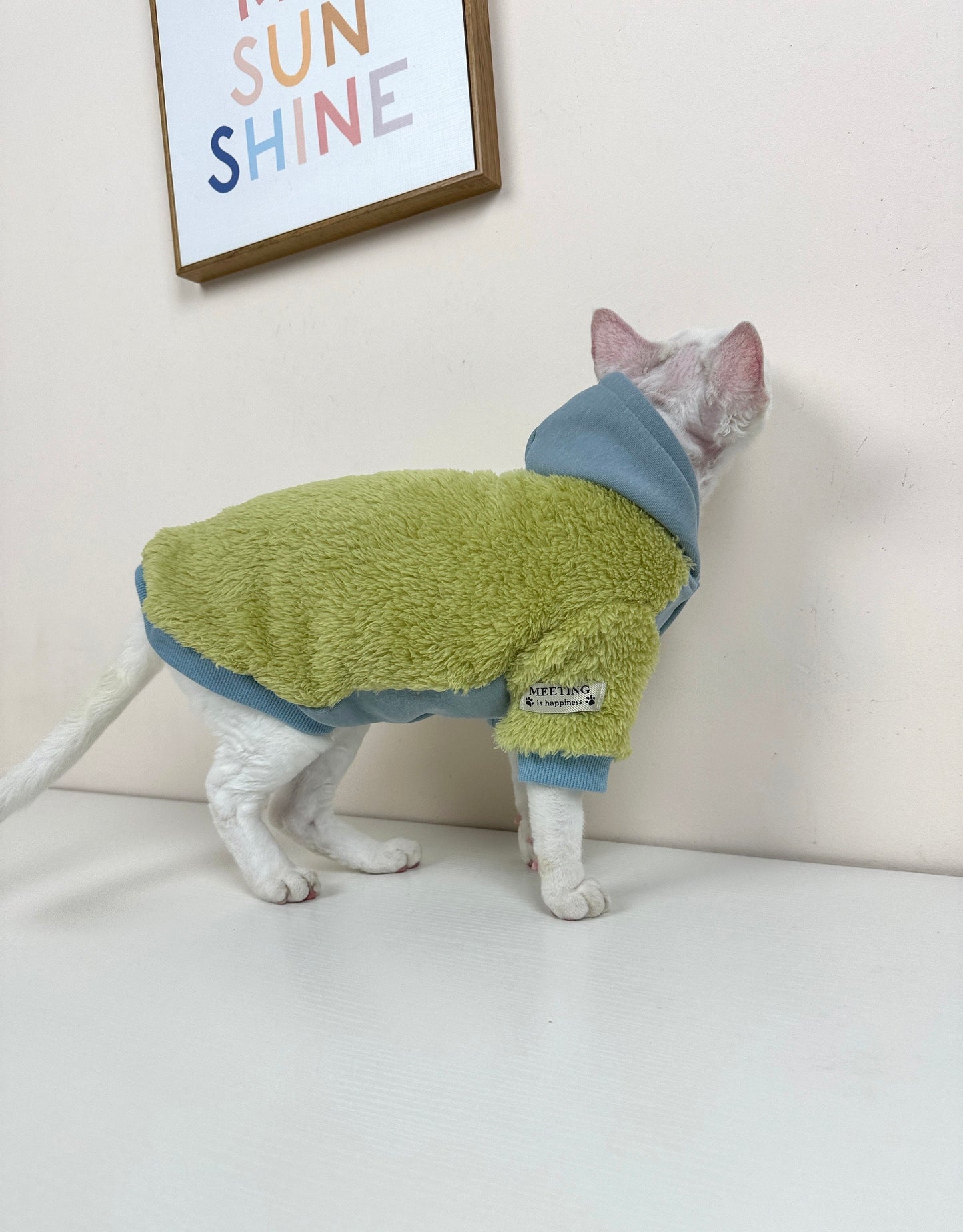 Sphynx Sweatshirt Coat with Button, Warm and Soft Sphynx Cat Clothes For Bambino Devon Rex Hairless Cat