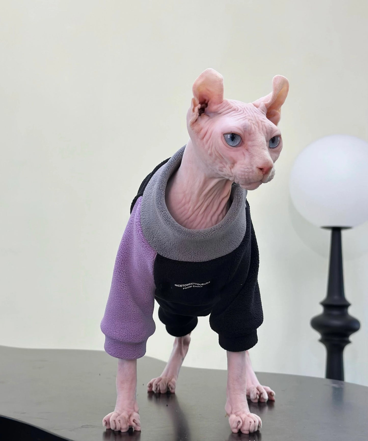 2/4-legged 3 colors Sphynx Hairless Cats Clothes, Winter Warm Sweatshirt for Bambino, Devon Rex Sphynx Cat Jumper Fleece Jacket