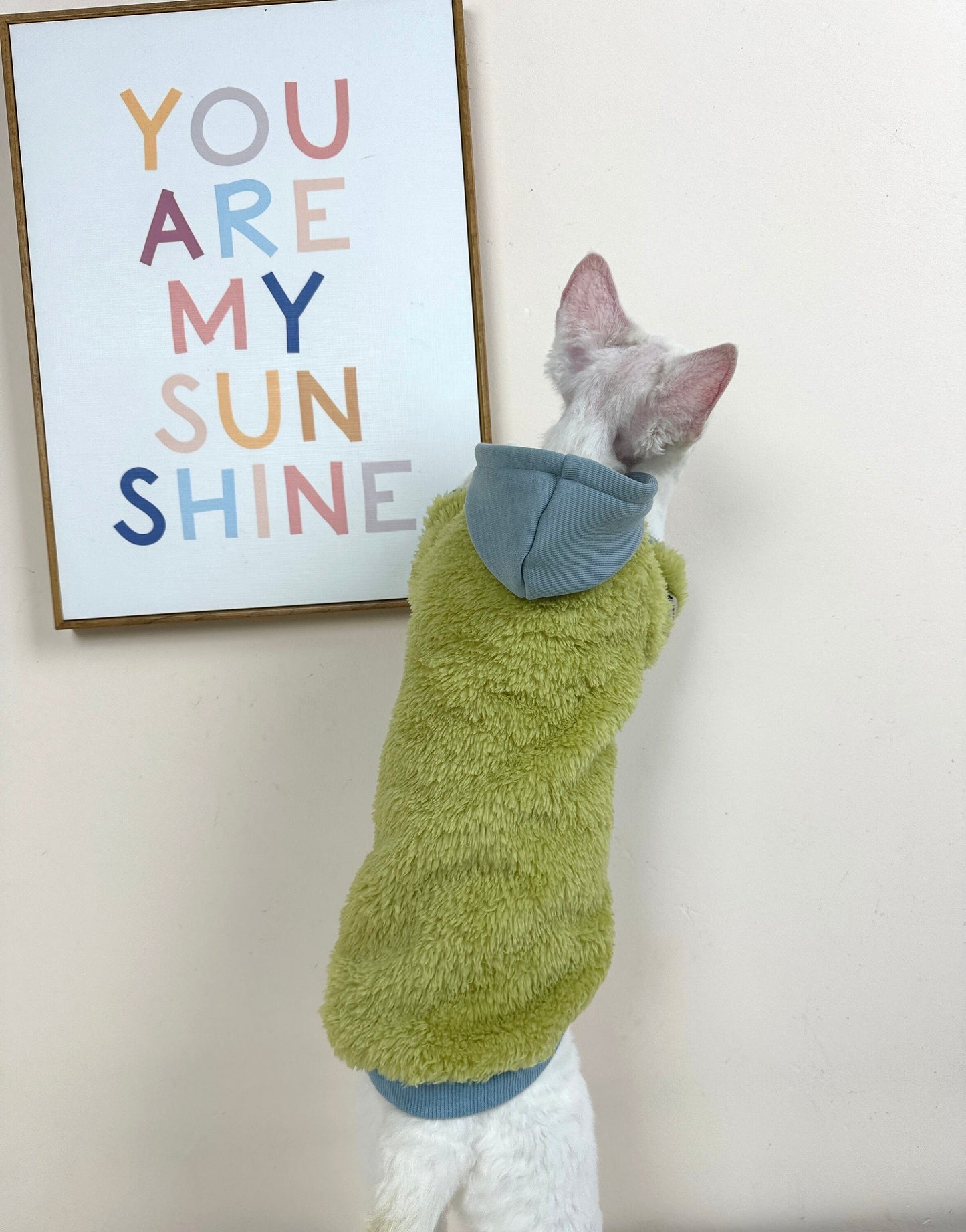 Sphynx Sweatshirt Coat with Button, Warm and Soft Sphynx Cat Clothes For Bambino Devon Rex Hairless Cat