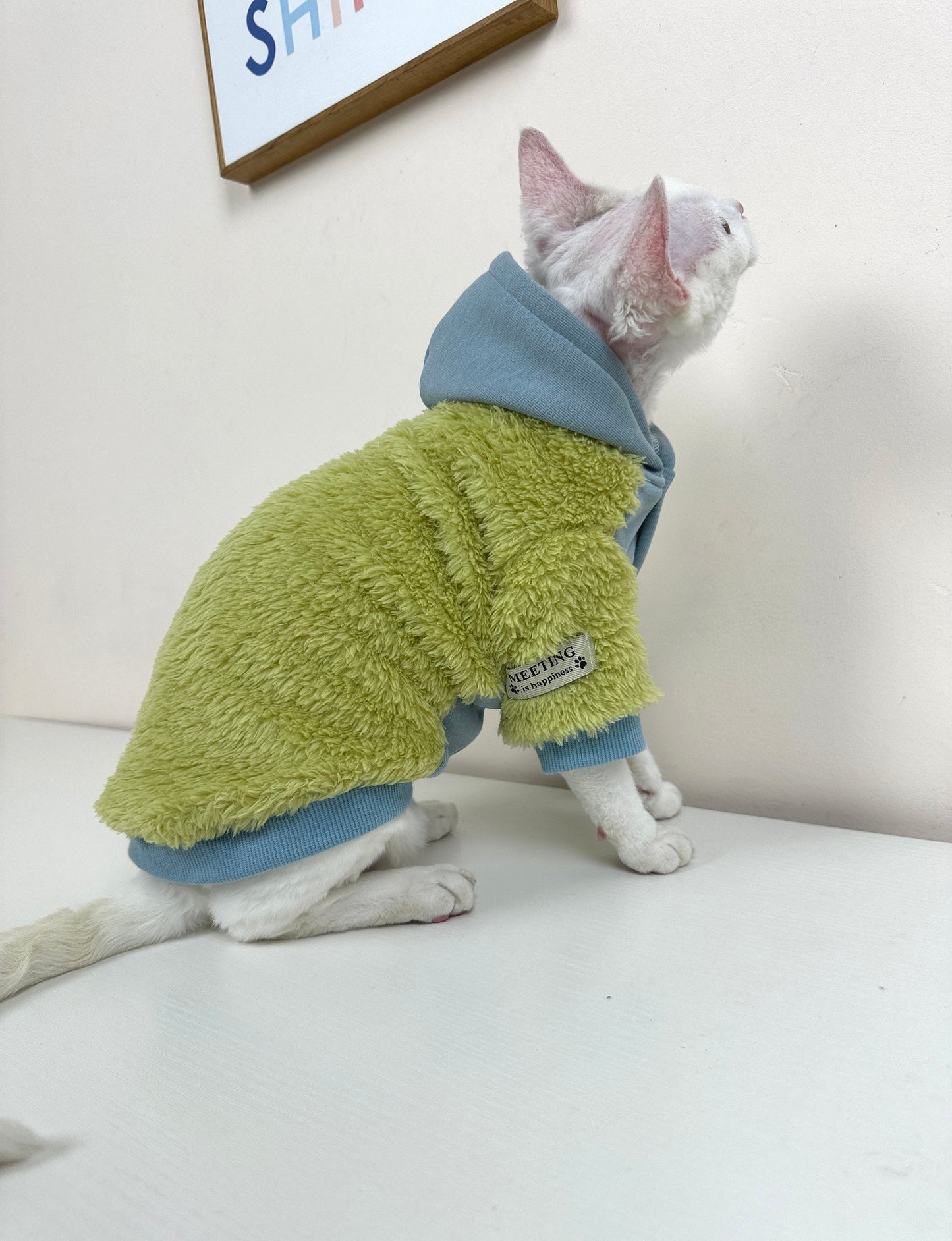 Sphynx Sweatshirt Coat with Button, Warm and Soft Sphynx Cat Clothes For Bambino Devon Rex Hairless Cat