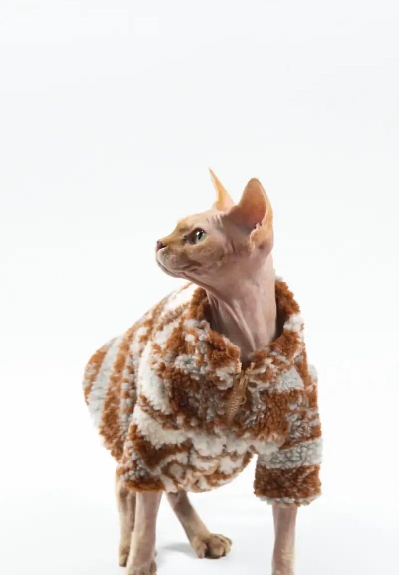 2 types Sphynx Hairless Cats Clothing, Winter Warm Coat for Bambino Devon Rex Sphynx Cat