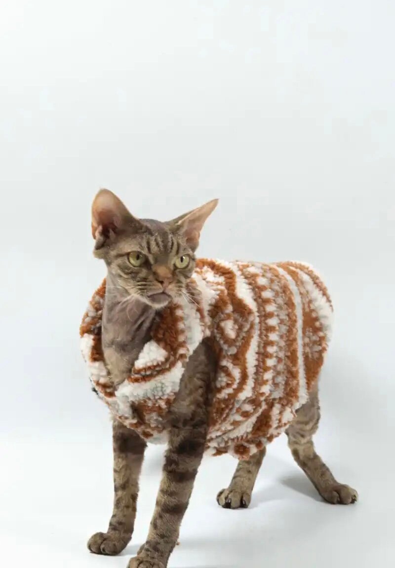 2 types Sphynx Hairless Cats Clothing, Winter Warm Coat for Bambino Devon Rex Sphynx Cat