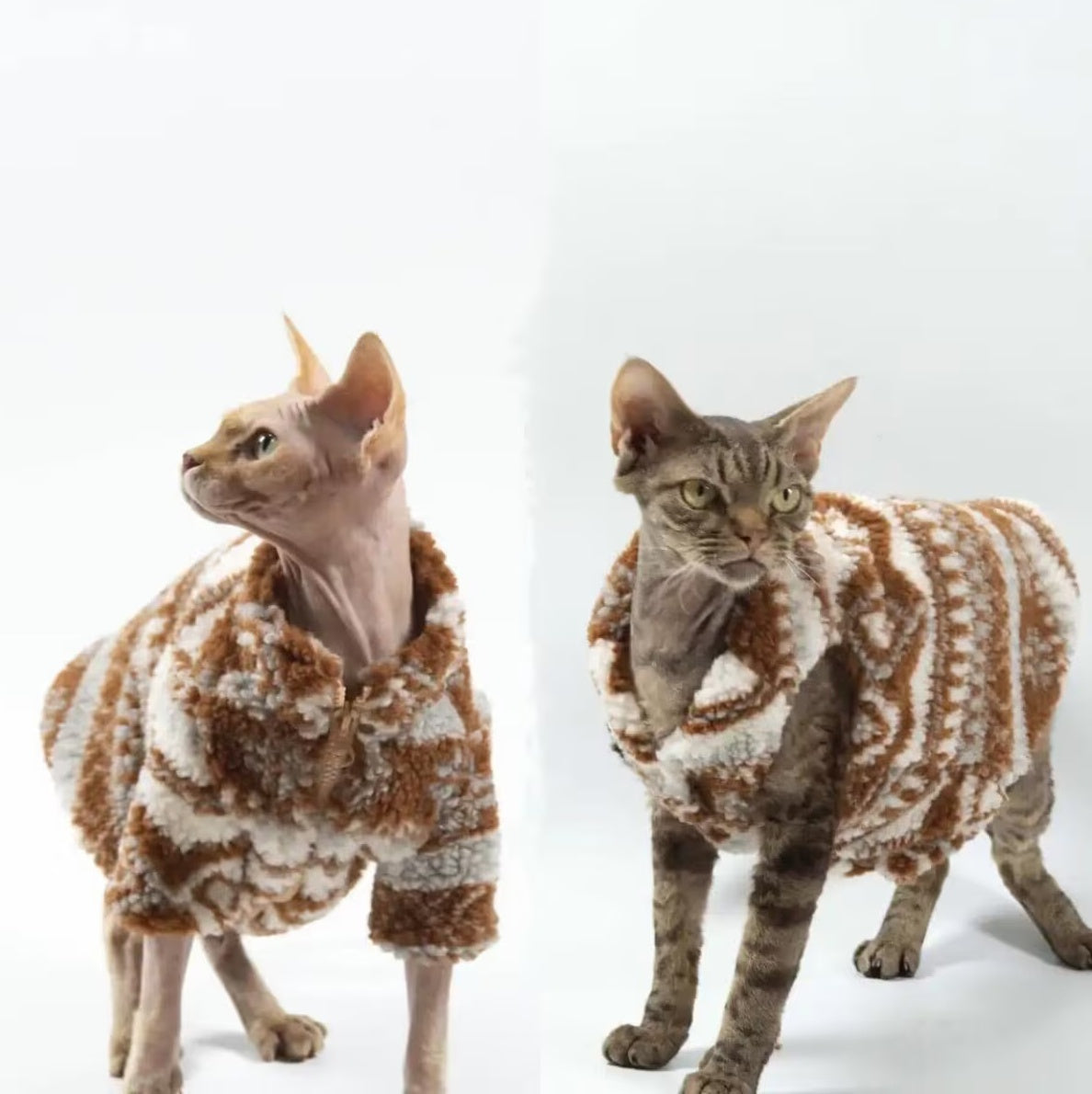 2 types Sphynx Hairless Cats Clothing, Winter Warm Coat for Bambino Devon Rex Sphynx Cat