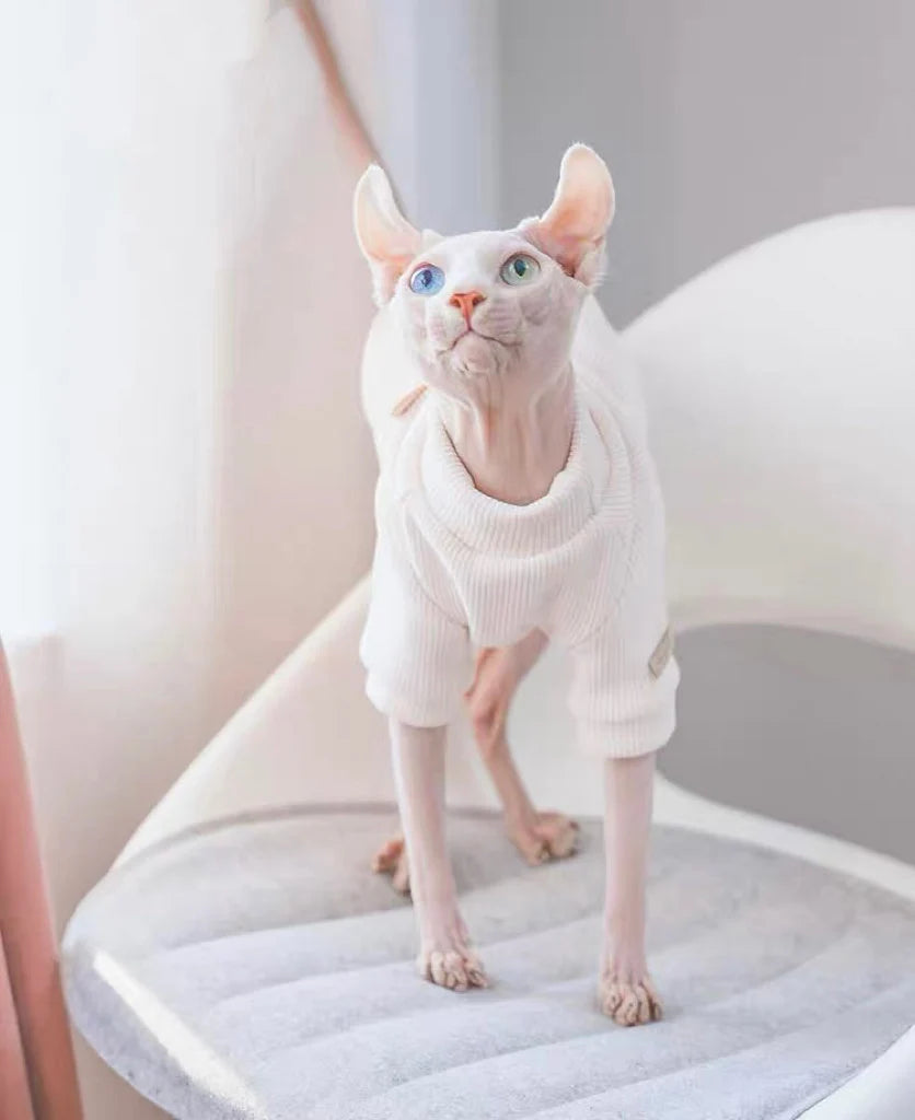 3 Colors Sphynx Hairless Cats Sweater Jumper, Pullover Knit Sweatshirt for Bambino Devon Rex Sphynx Cat