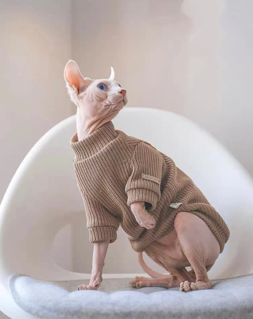 Brown Pink Sphynx Hairless Cats Sweater, Pullover Knit Sweatshirt, Bambino Devon Rex Sphynx Cat Jumper