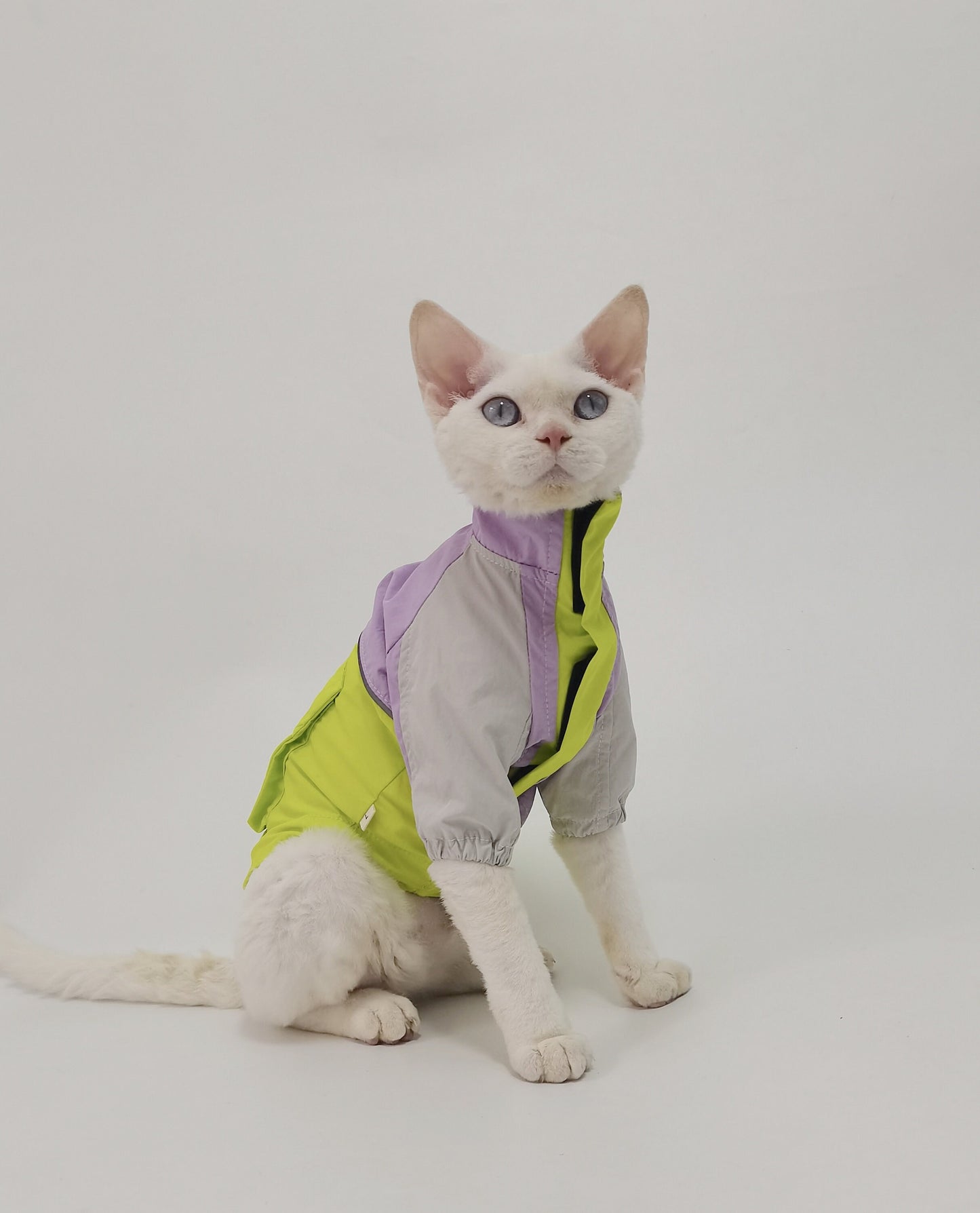 Sphynx Hairless Cats Windproof Jacket, Outdoors Wear Coat, Bambino Devon Rex Sphynx Cat Jumper