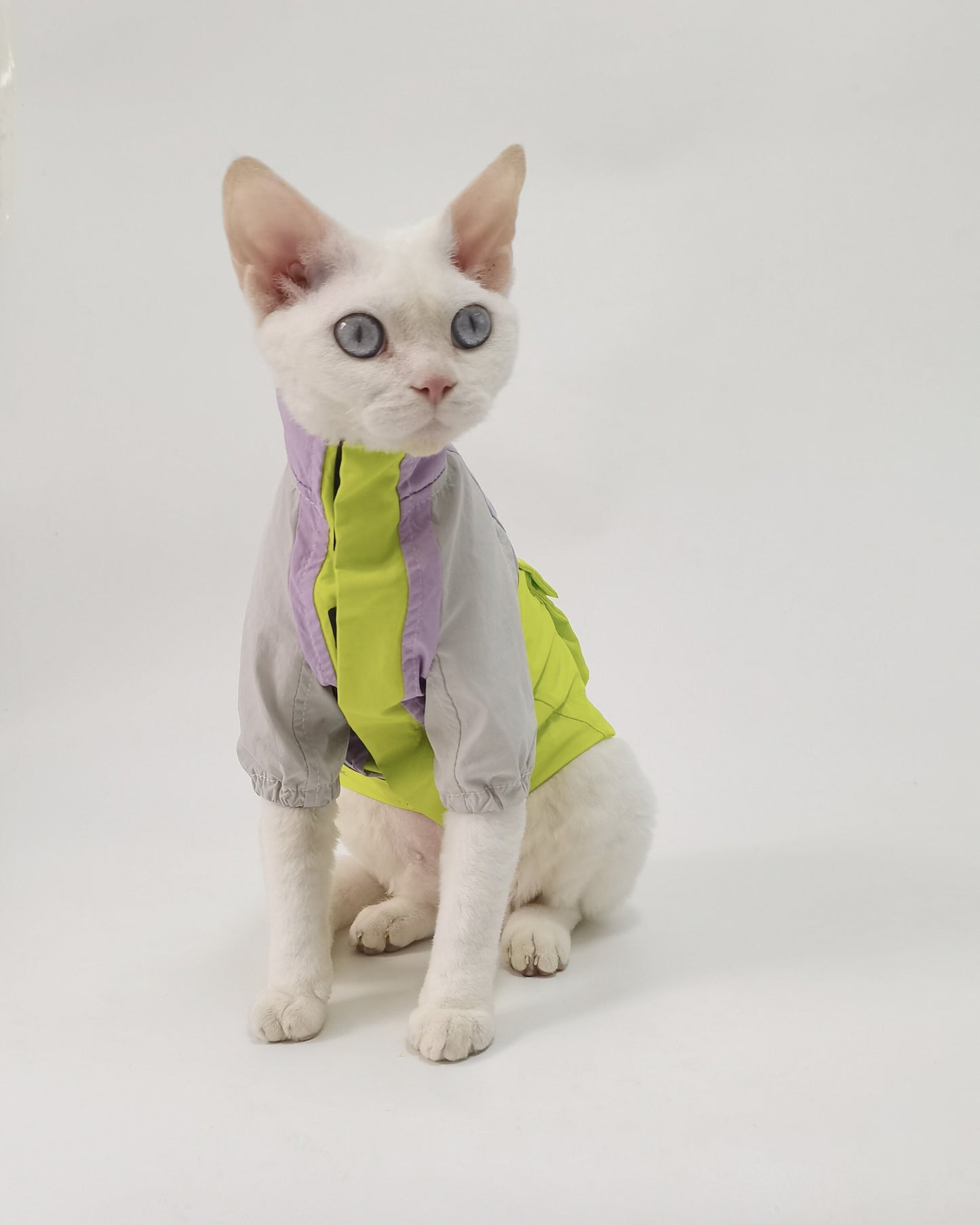 Sphynx Hairless Cats Windproof Jacket, Outdoors Wear Coat, Bambino Devon Rex Sphynx Cat Jumper